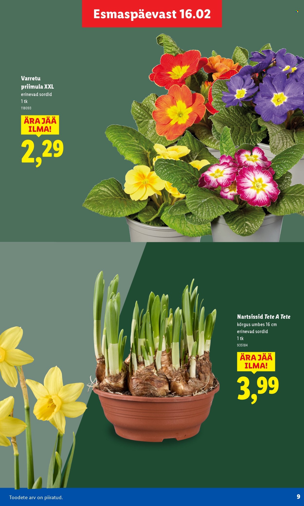 Lidl kliendileht. Lehekülg 9