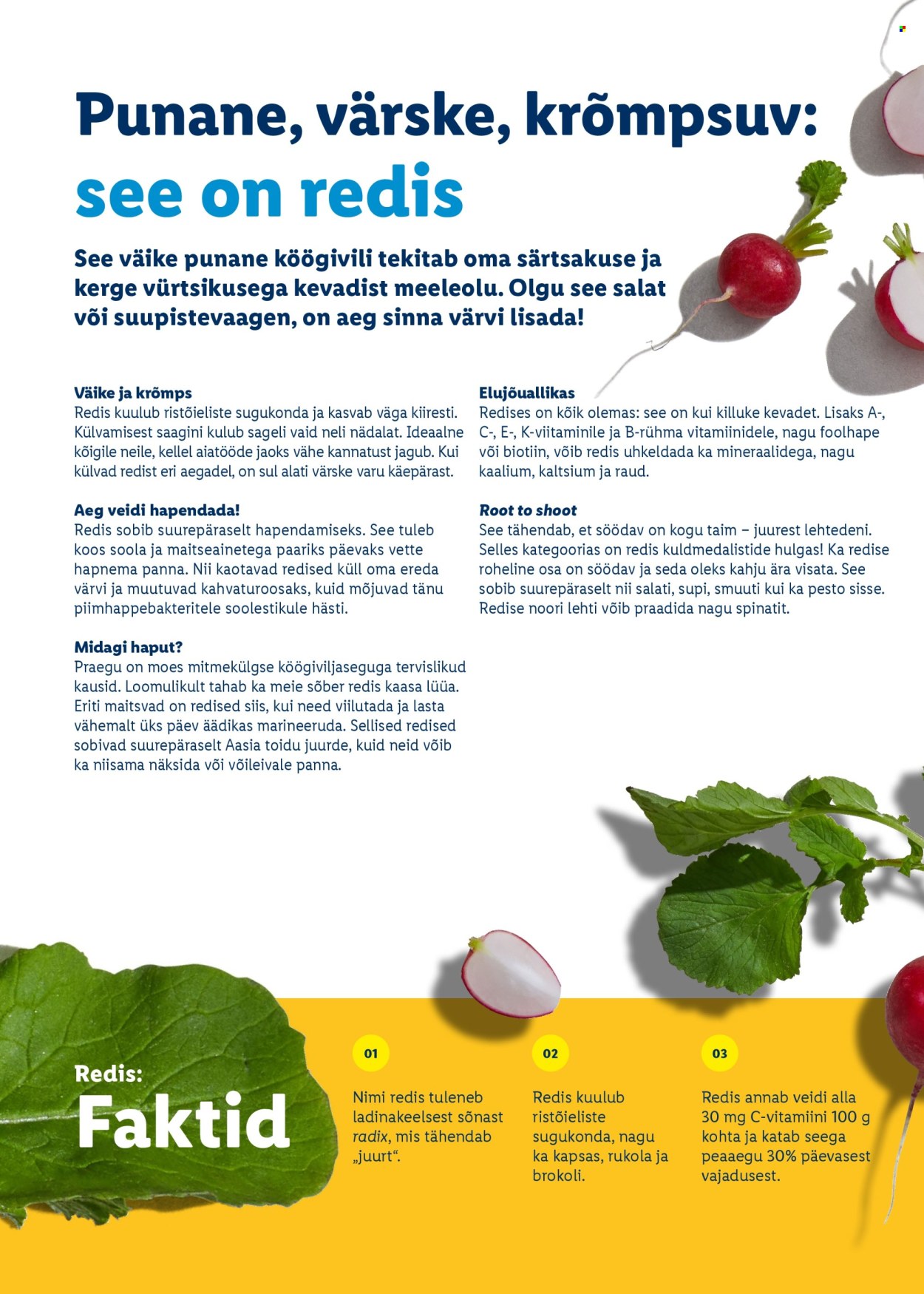 Lidl kliendileht. Lehekülg 40