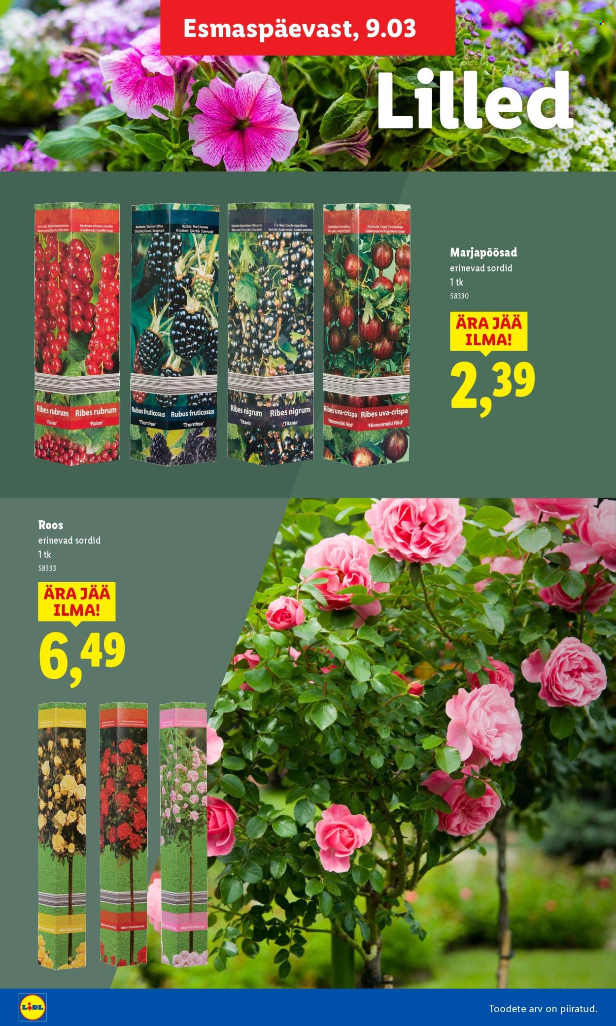 Lidl kliendileht. Lehekülg 8