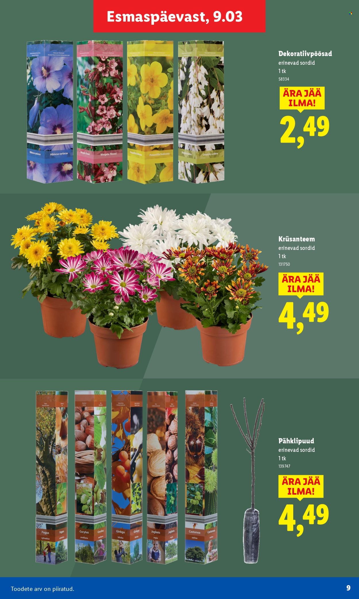 Lidl kliendileht. Lehekülg 9