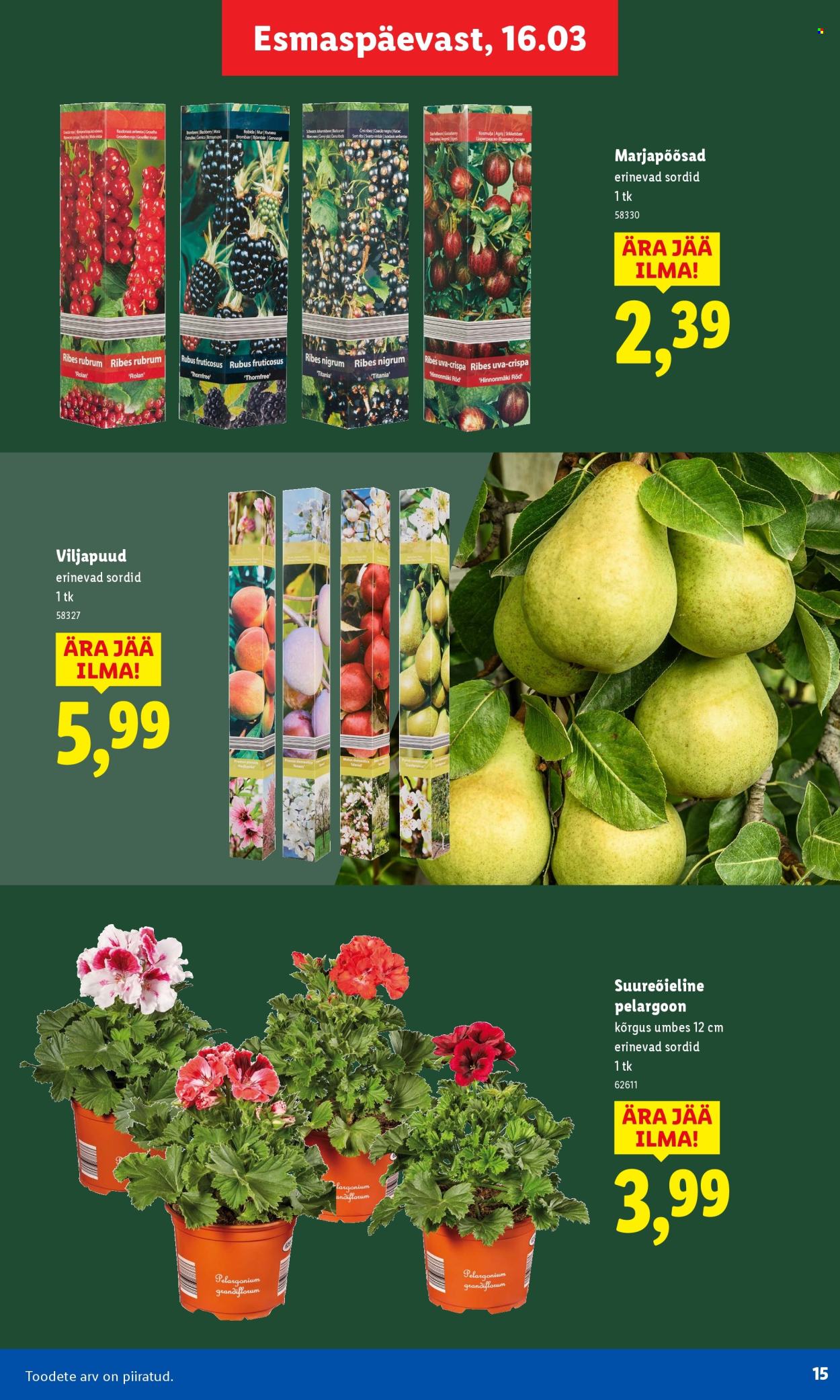 Lidl kliendileht. Lehekülg 15
