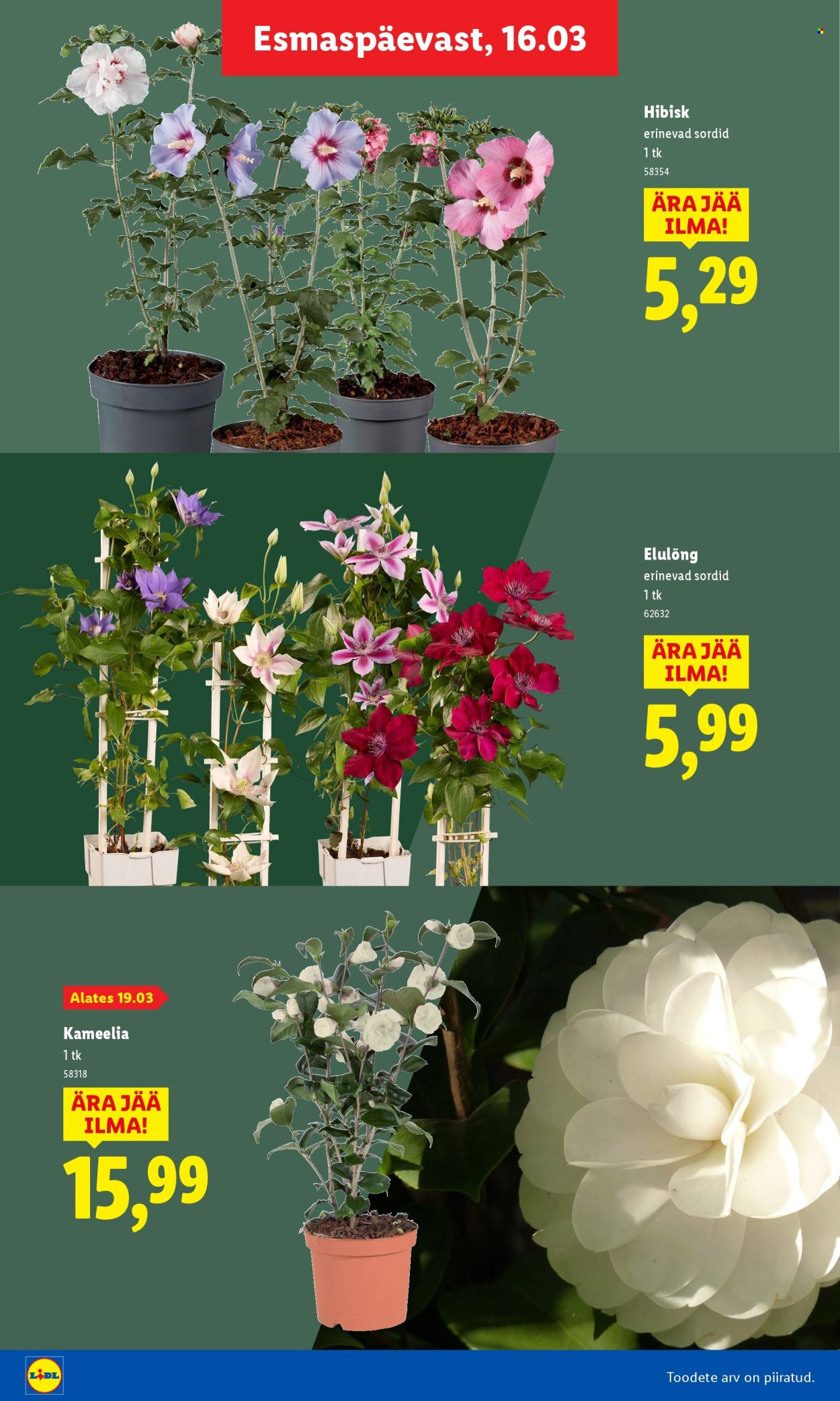 Lidl kliendileht. Lehekülg 16