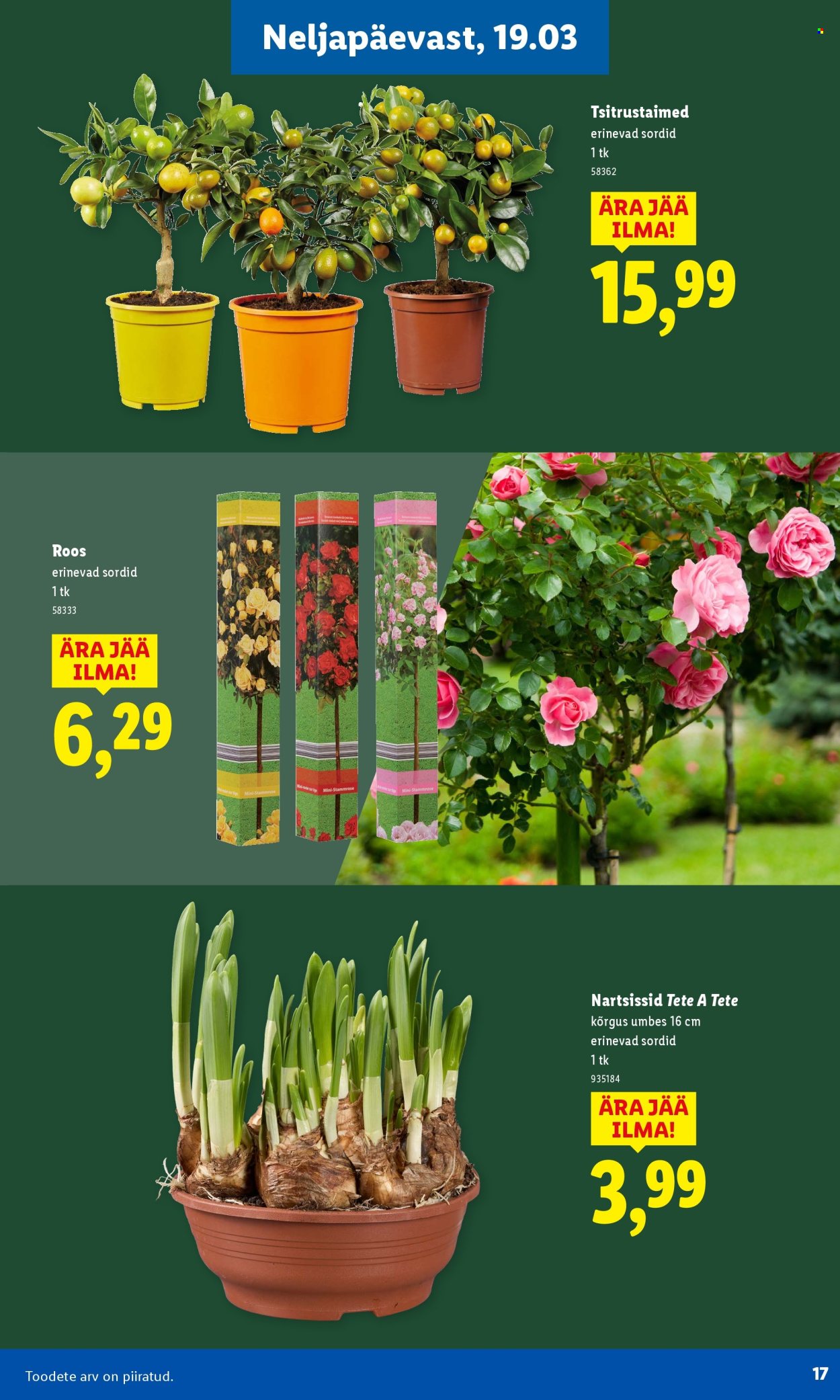 Lidl kliendileht. Lehekülg 17