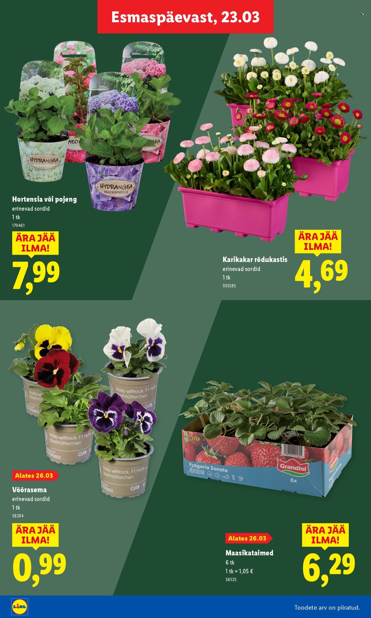 Lidl kliendileht. Lehekülg 26