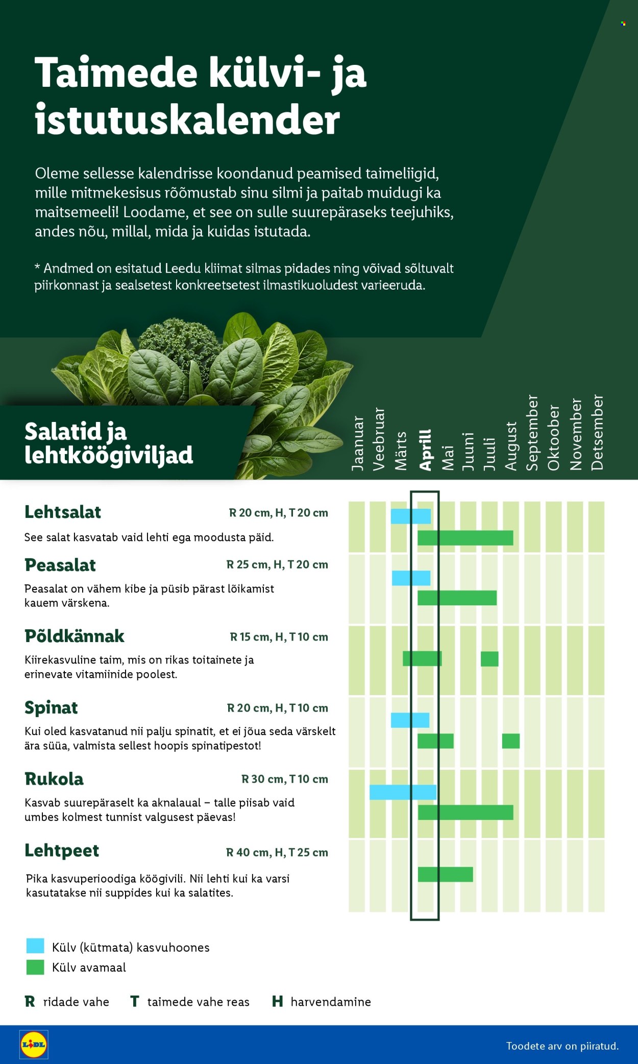 Lidl kliendileht. Lehekülg 4