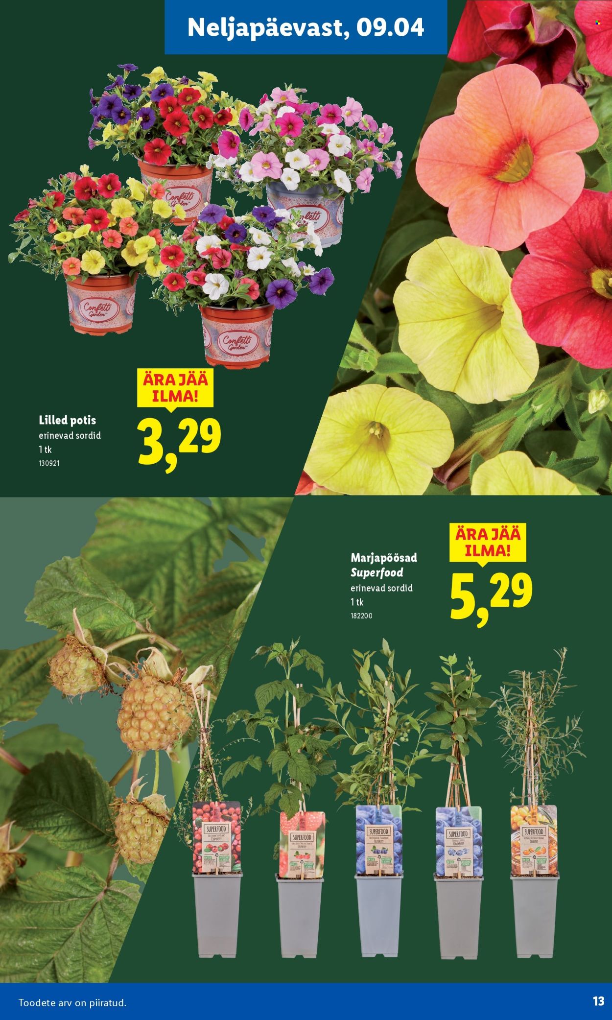 Lidl kliendileht. Lehekülg 13