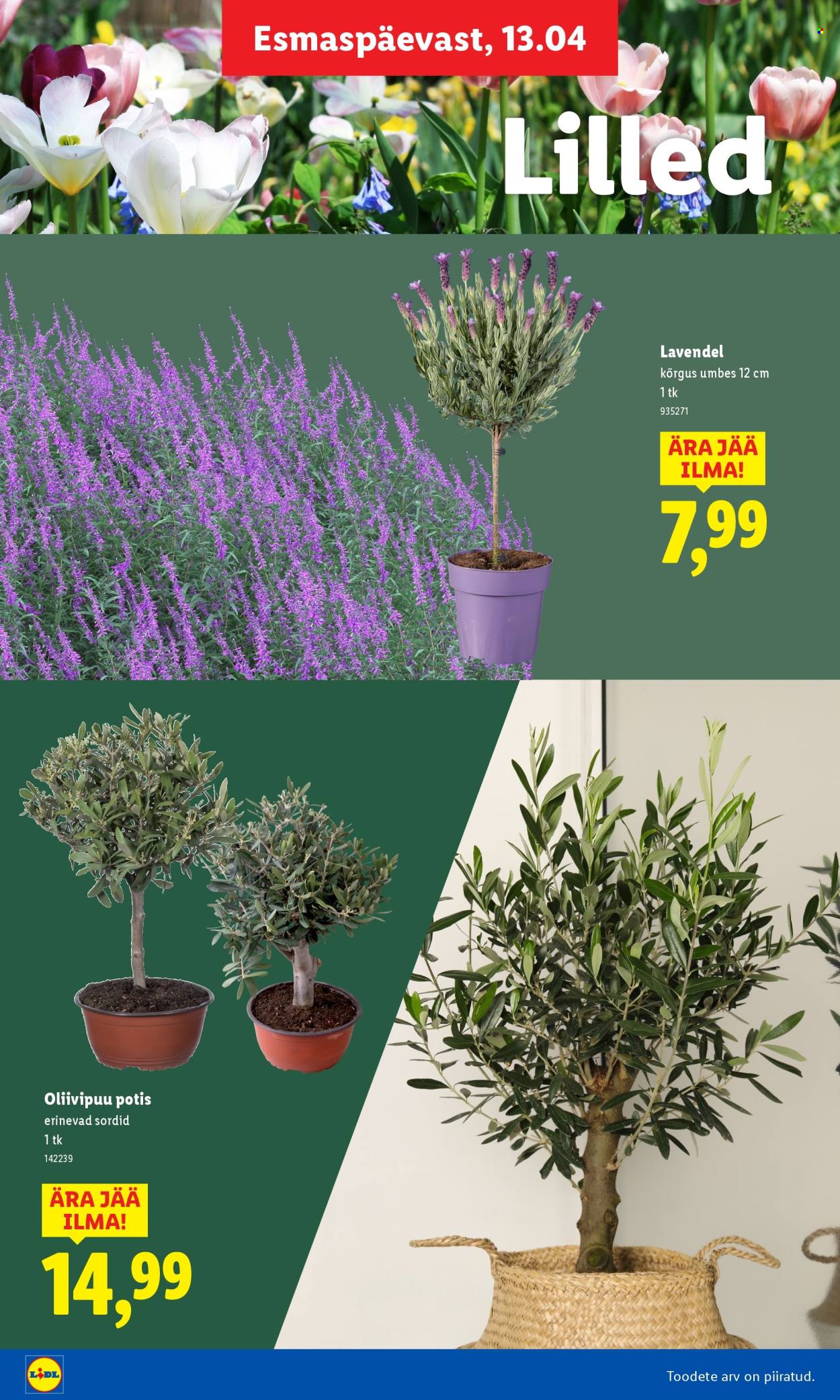 Lidl kliendileht. Lehekülg 16