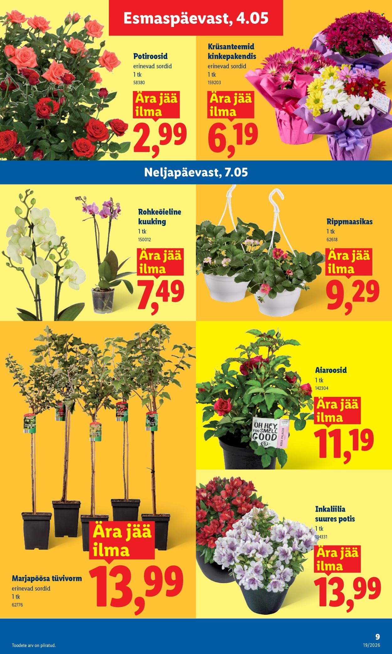 Lidl kliendileht - 04.05.2026 - 10.05.2026. Lehekülg 9