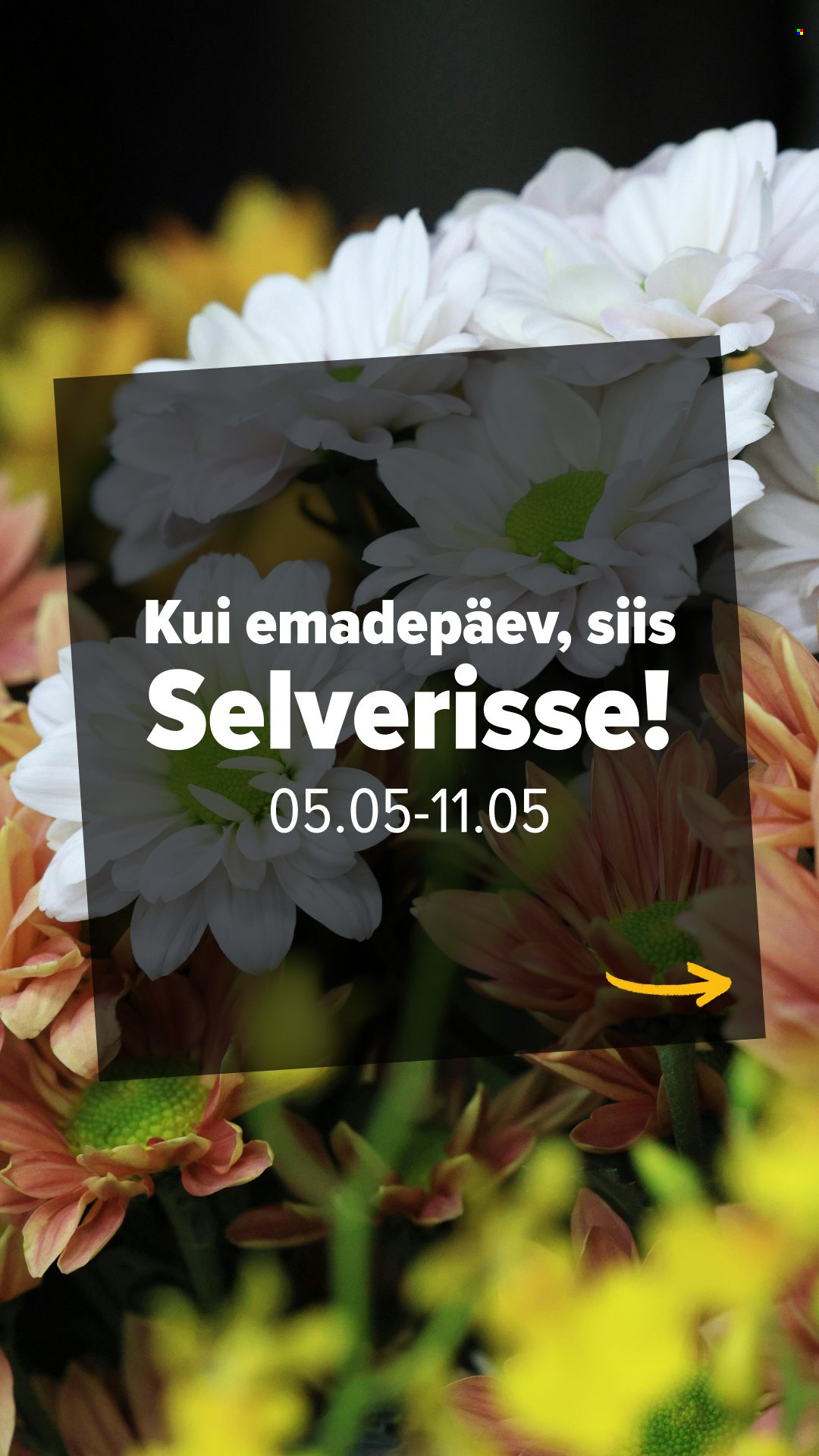 Selver kliendileht - 05.05.2026 - 11.05.2026. Lehekülg 1