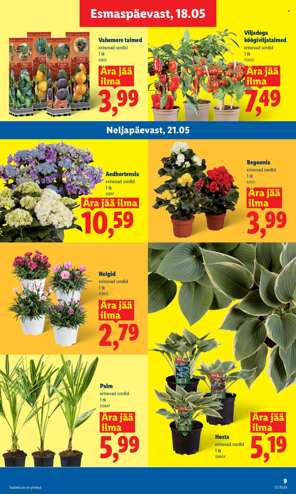 Lidl kliendileht - 18.05.2026 - 24.05.2026. Lehekülg 9