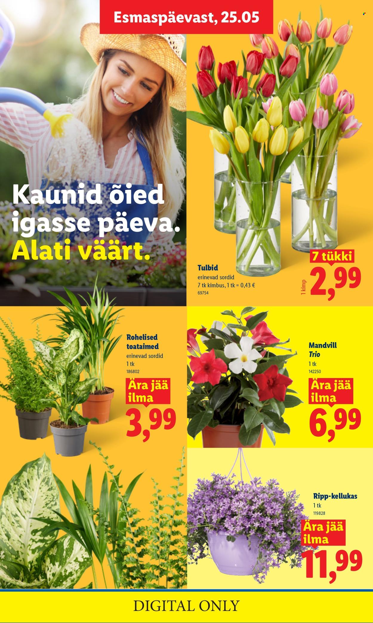 Lidl kliendileht - 25.05.2026 - 31.05.2026. Lehekülg 8