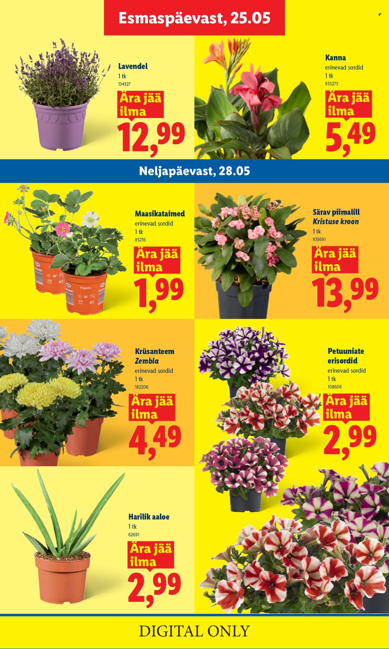Lidl kliendileht - 25.05.2026 - 31.05.2026. Lehekülg 9