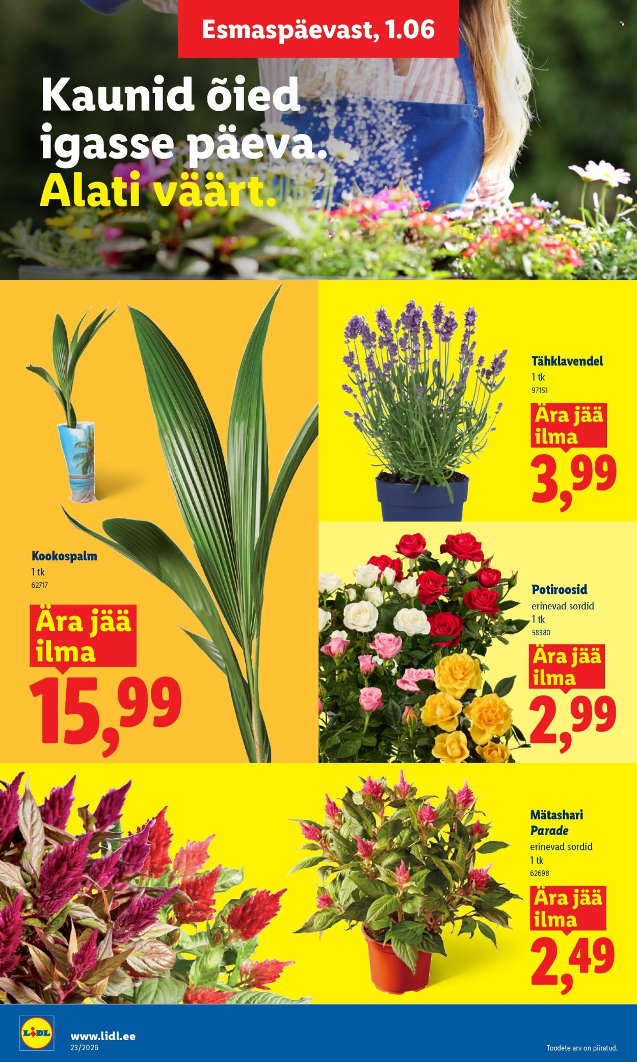 Lidl kliendileht - 01.06.2026 - 07.06.2026. Lehekülg 8
