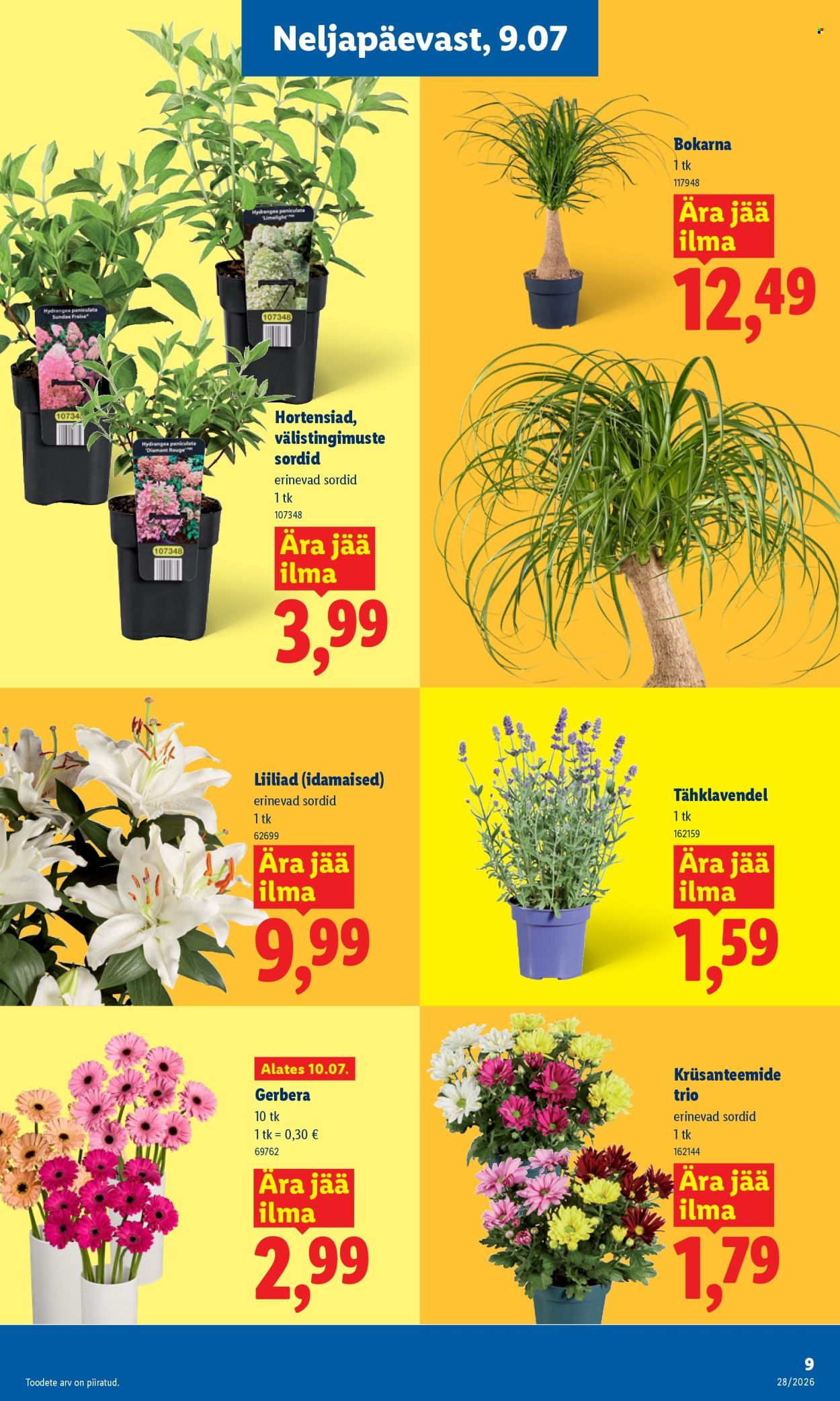 Lidl kliendileht - 06.07.2026 - 12.07.2026. Lehekülg 9