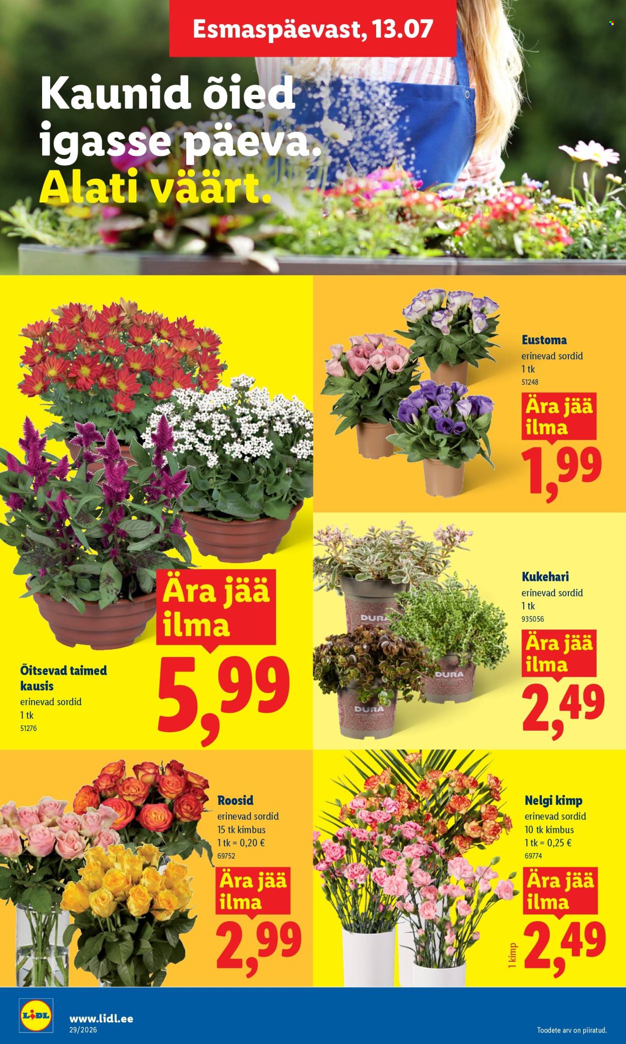 Lidl kliendileht - 13.07.2026 - 19.07.2026. Lehekülg 8
