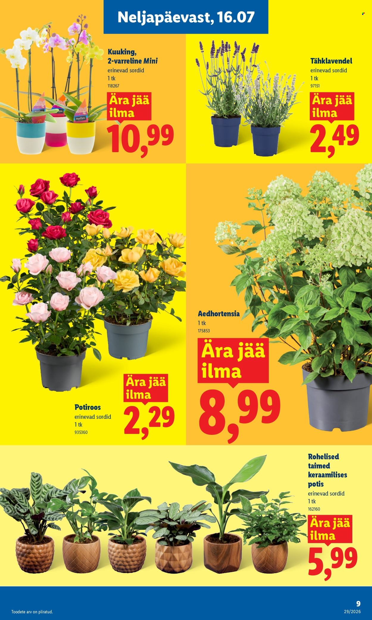 Lidl kliendileht - 13.07.2026 - 19.07.2026. Lehekülg 9