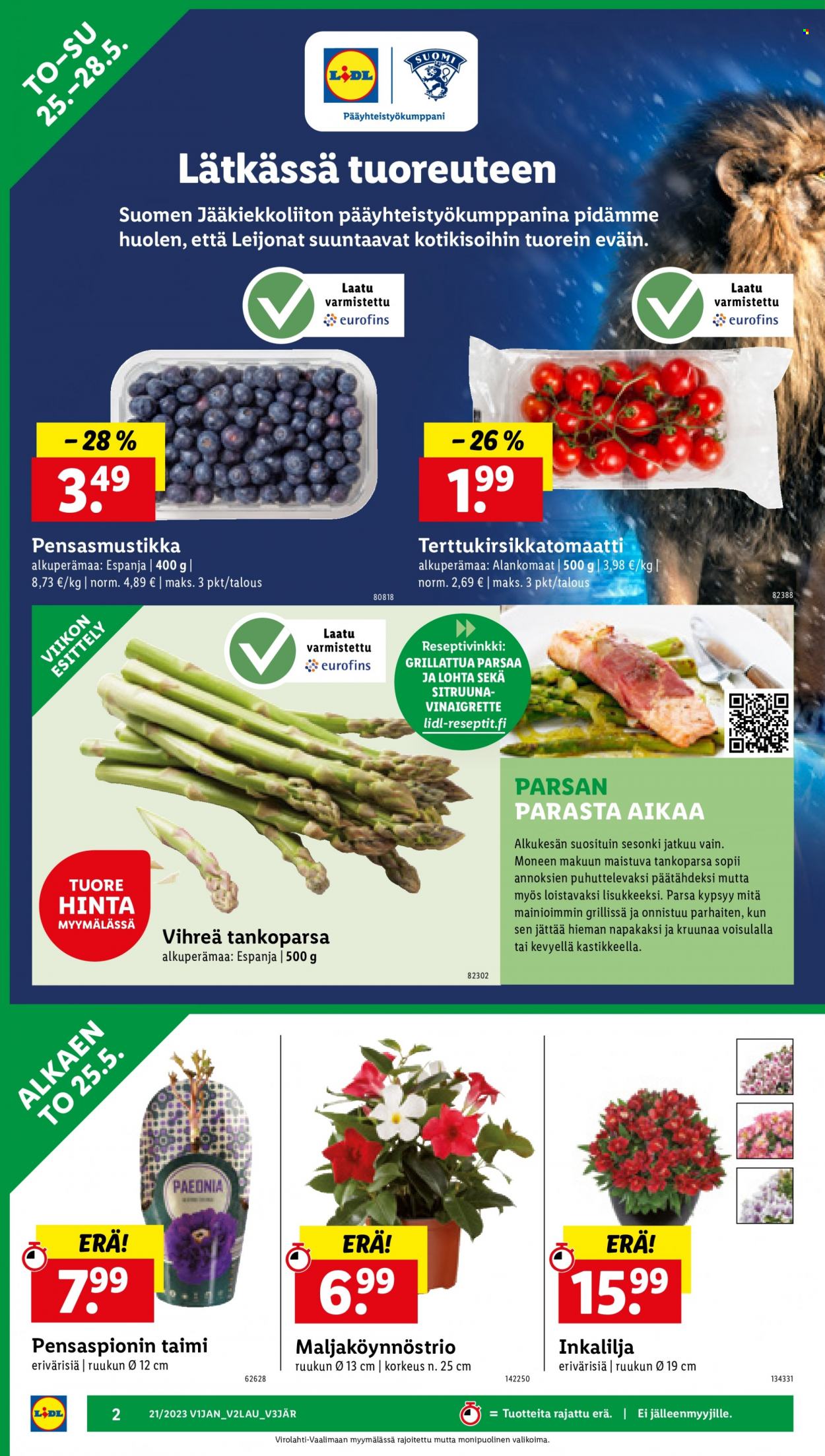 Lidl tarjoukset - 25.05.2023 - 31.05.2023. Sivu 4