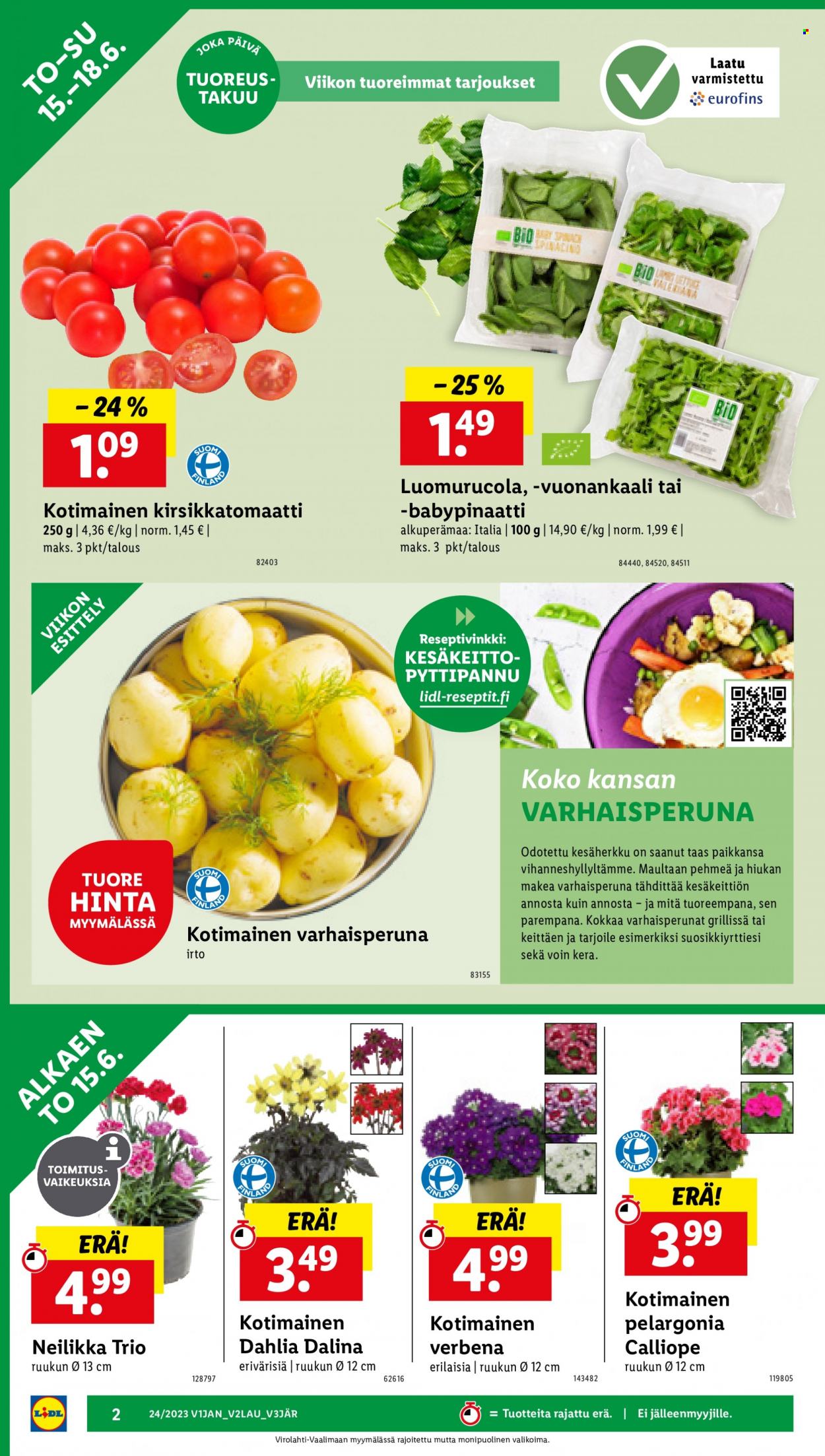 Lidl tarjoukset - 15.06.2023 - 18.06.2023. Sivu 4