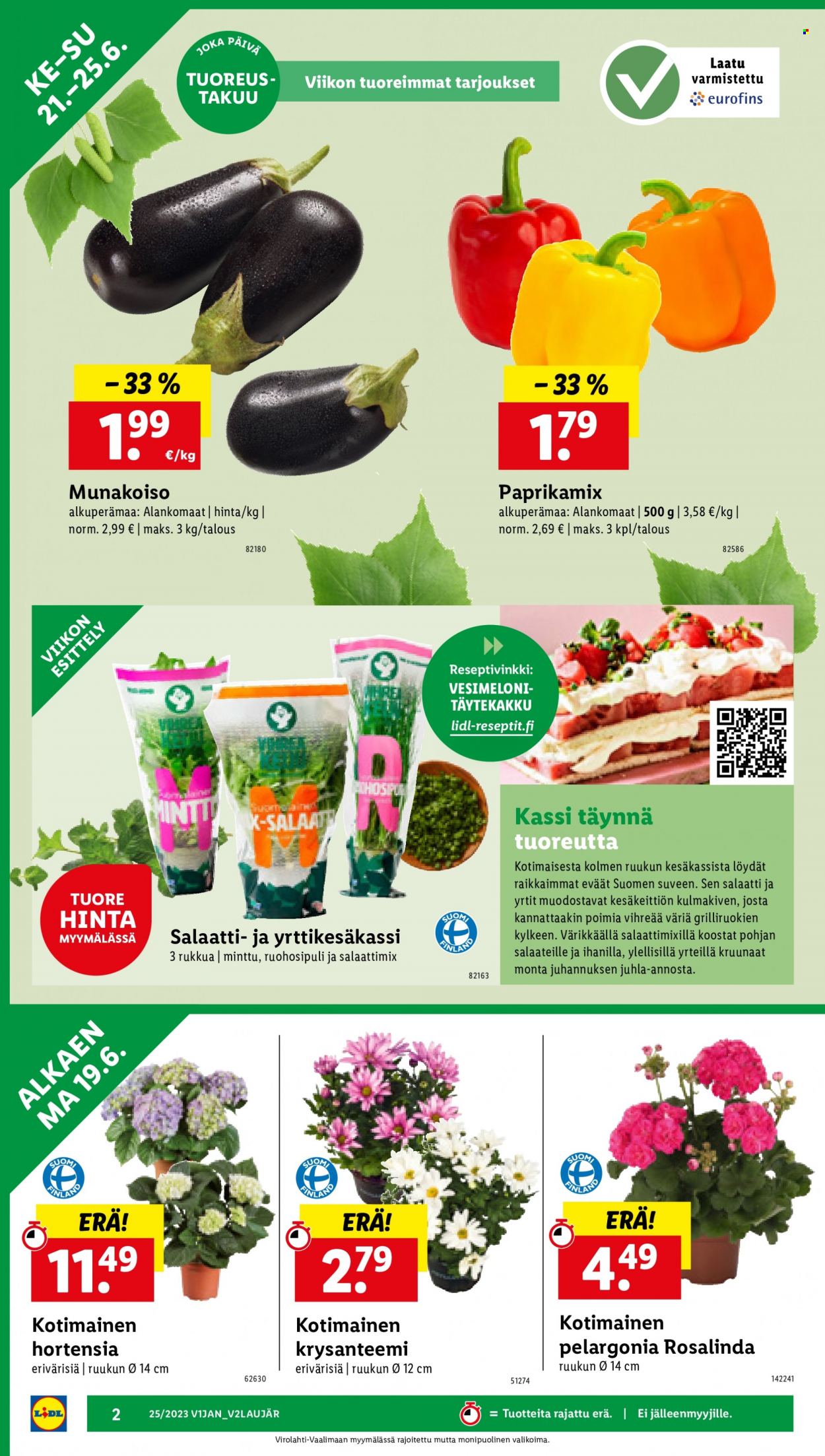 Lidl tarjoukset - 19.06.2023 - 25.06.2023. Sivu 4