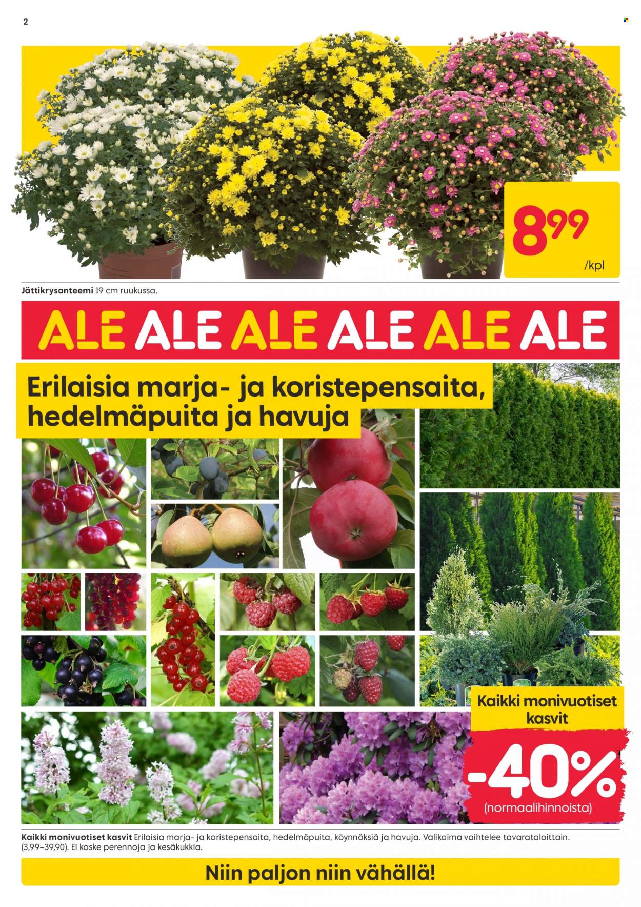 Rusta tarjoukset - 19.06.2023 - 25.06.2023. Sivu 2