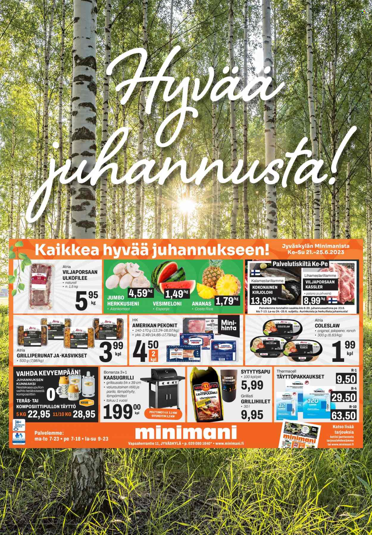 Minimani tarjoukset - 21.06.2023 - 25.06.2023. Sivu 2