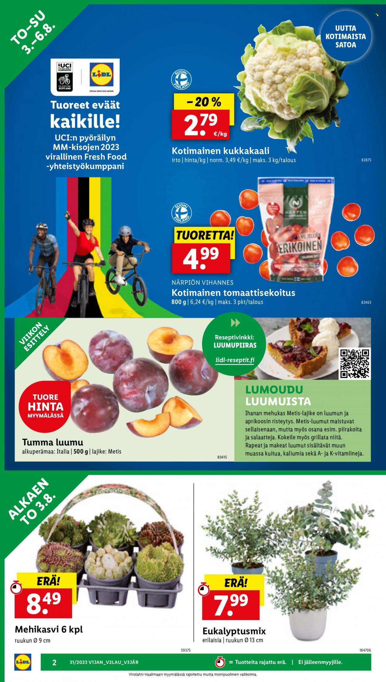 Lidl tarjoukset - 03.08.2023 - 09.08.2023. Sivu 4