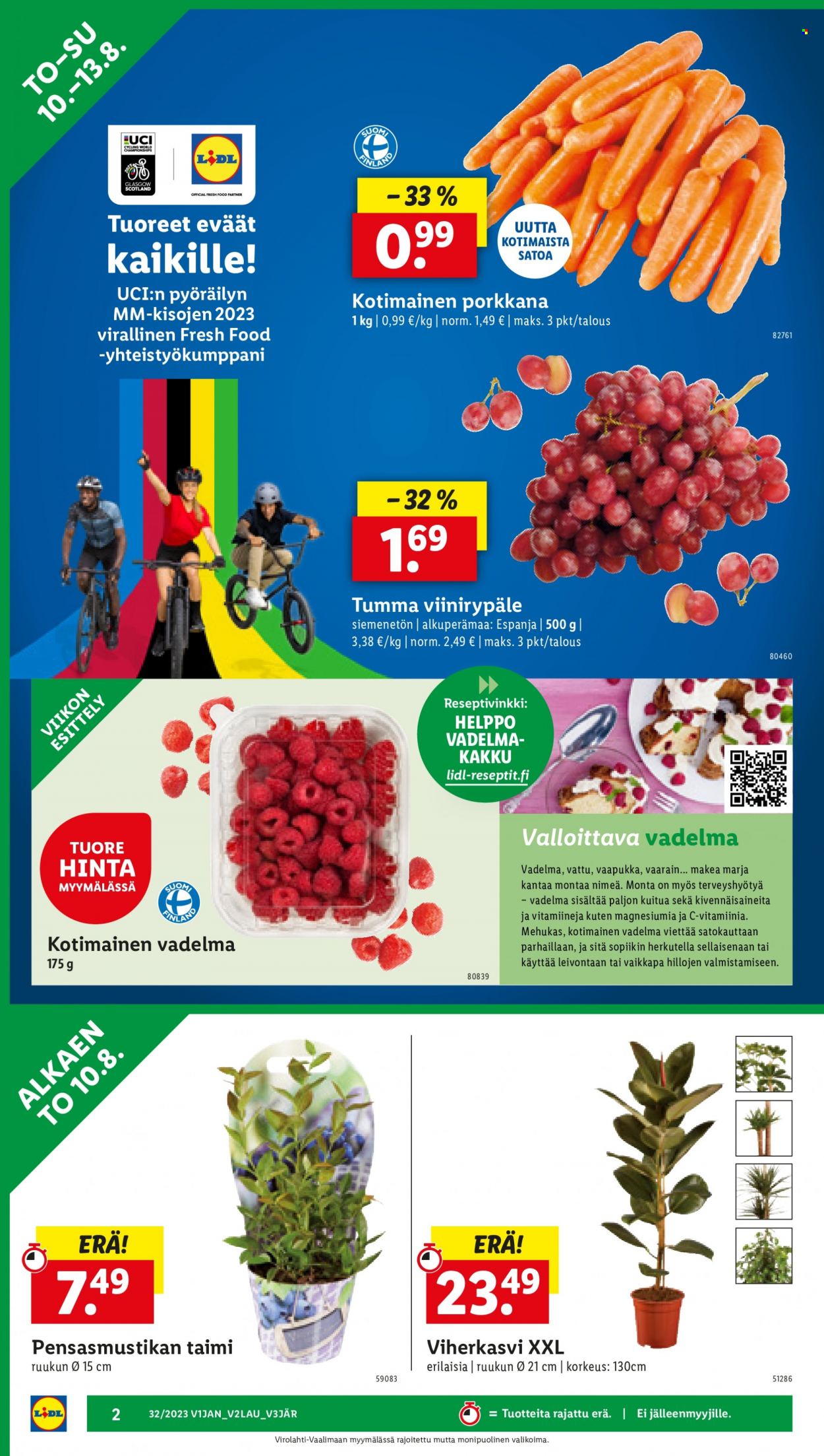 Lidl tarjoukset - 10.08.2023 - 16.08.2023. Sivu 4