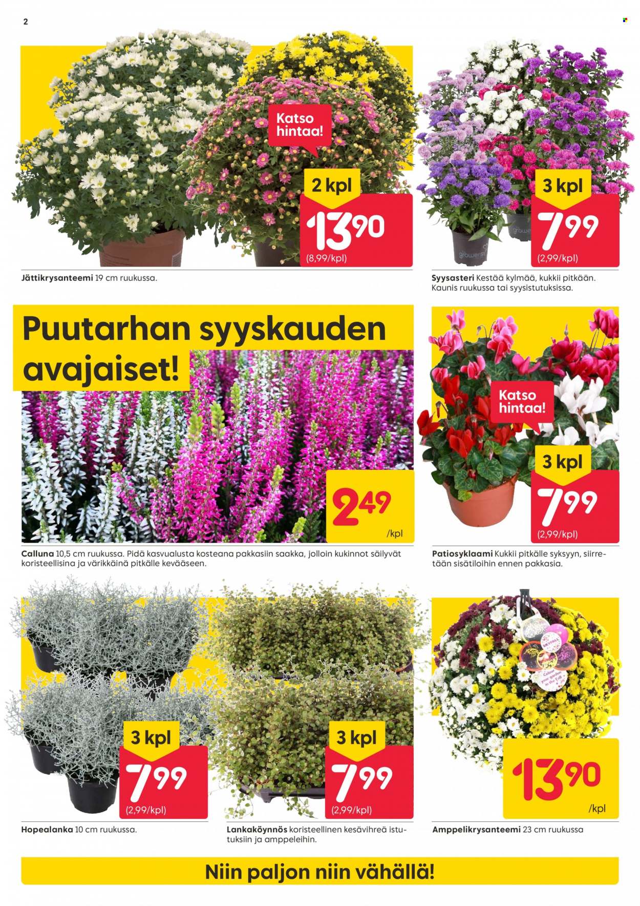 Rusta tarjoukset - 07.08.2023 - 13.08.2023. Sivu 2