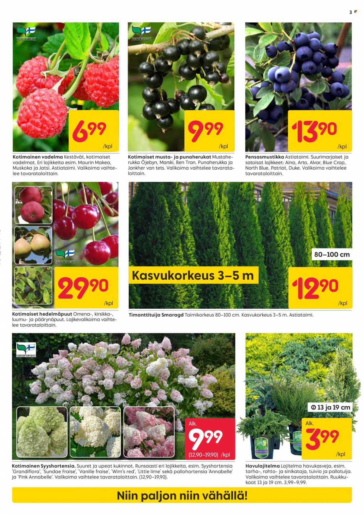 Rusta tarjoukset - 21.08.2023 - 27.08.2023. Sivu 3