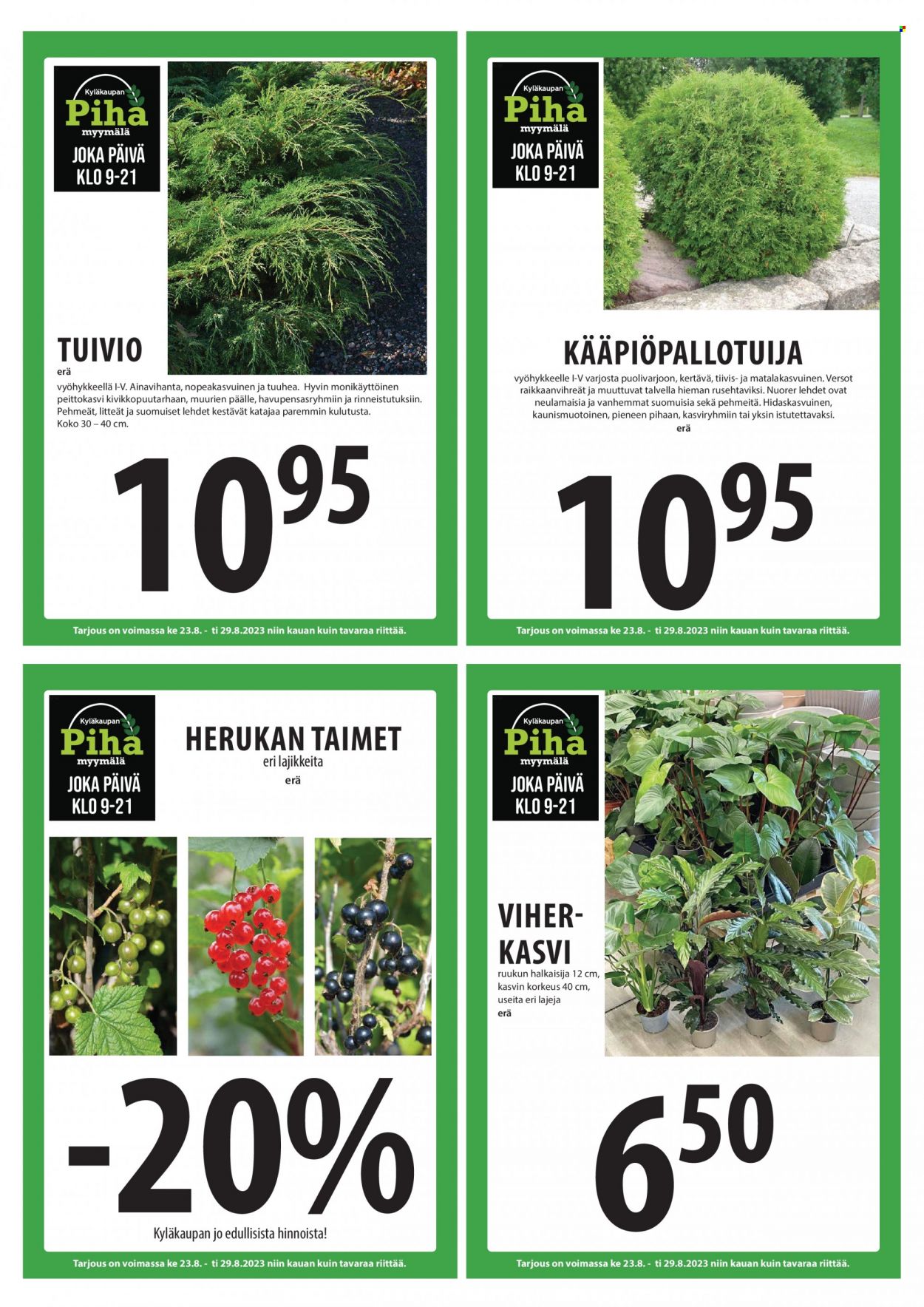 Tuuri tarjoukset - 23.08.2023 - 29.08.2023. Sivu 24