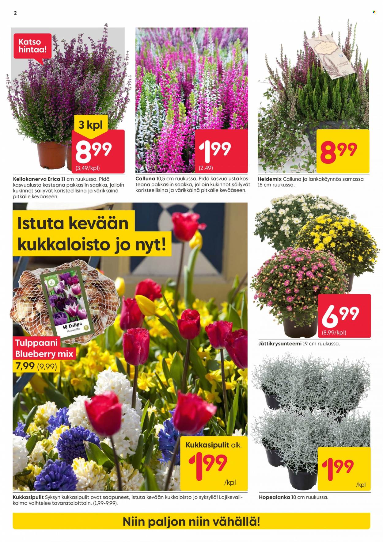 Rusta tarjoukset - 28.08.2023 - 03.09.2023. Sivu 2