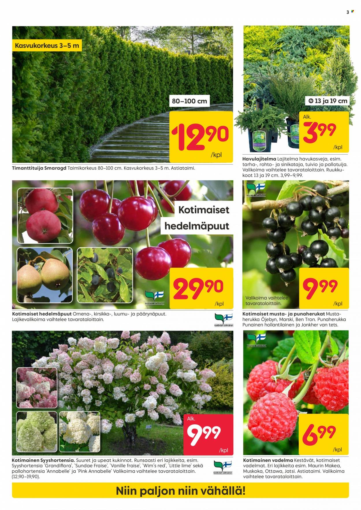 Rusta tarjoukset - 28.08.2023 - 03.09.2023. Sivu 3