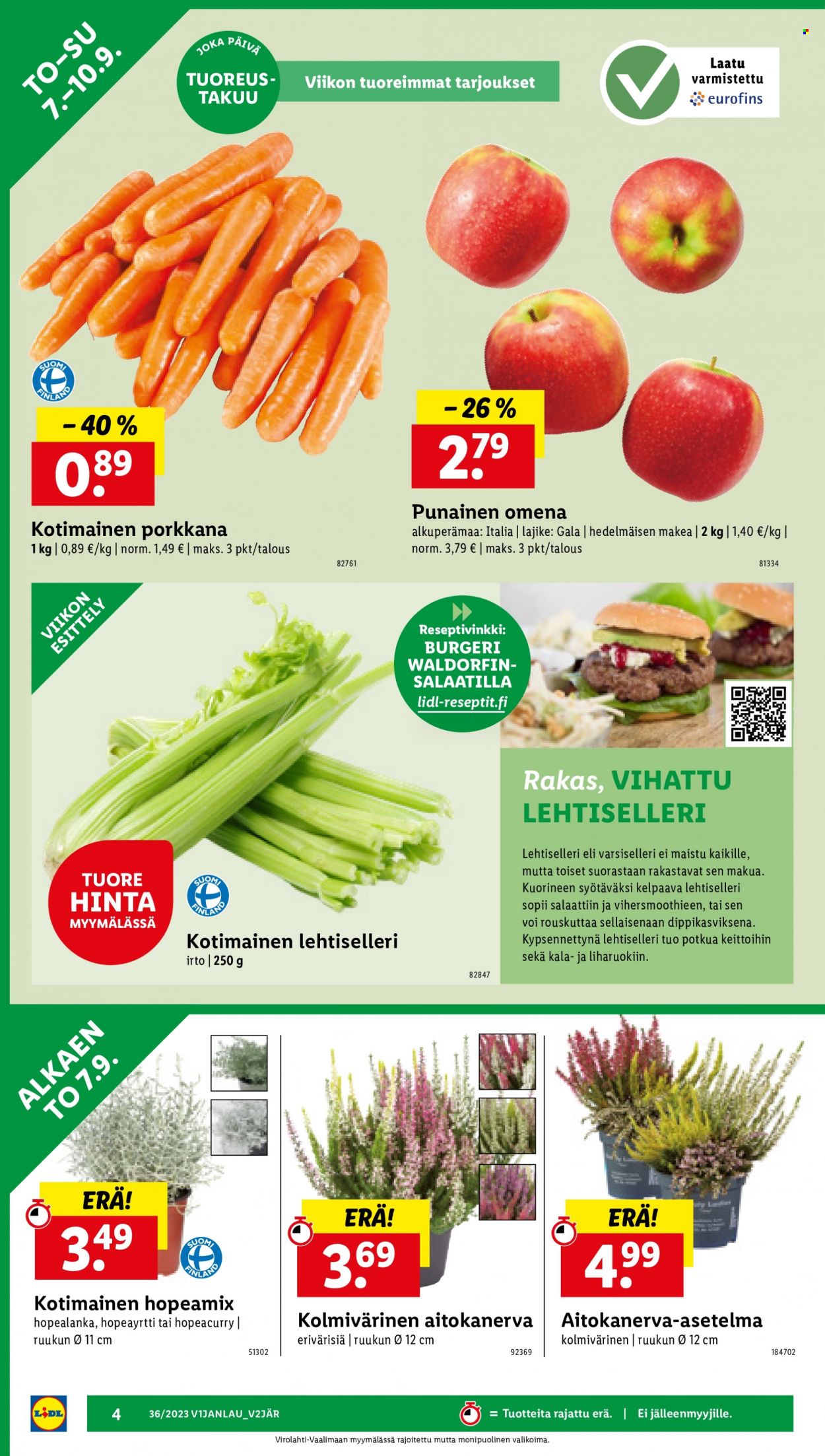 Lidl tarjoukset - 07.09.2023 - 13.09.2023. Sivu 6