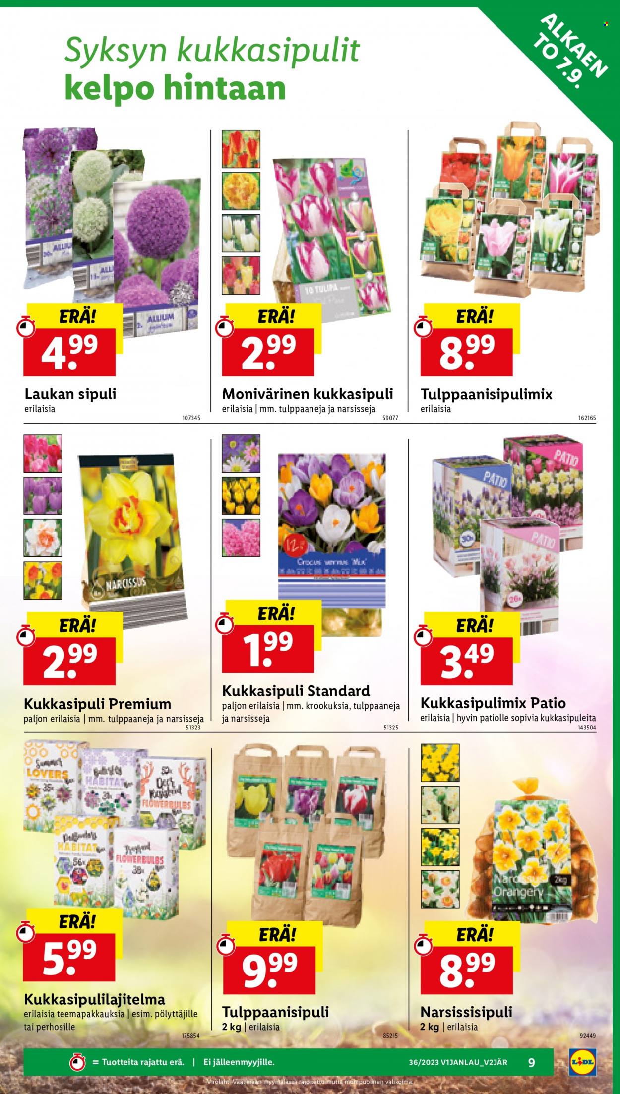 Lidl tarjoukset - 07.09.2023 - 13.09.2023. Sivu 11