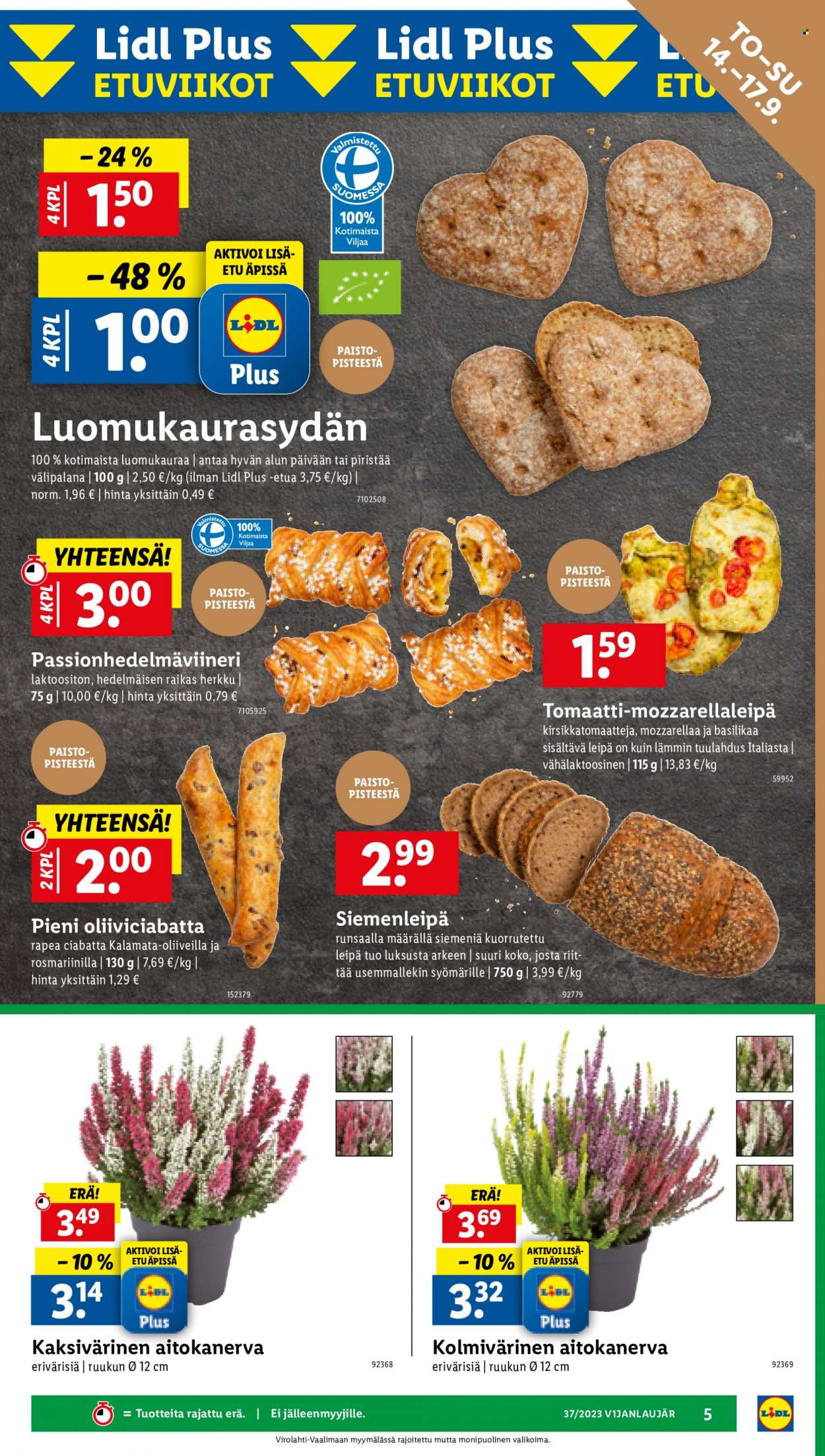 Lidl tarjoukset - 14.09.2023 - 20.09.2023. Sivu 7