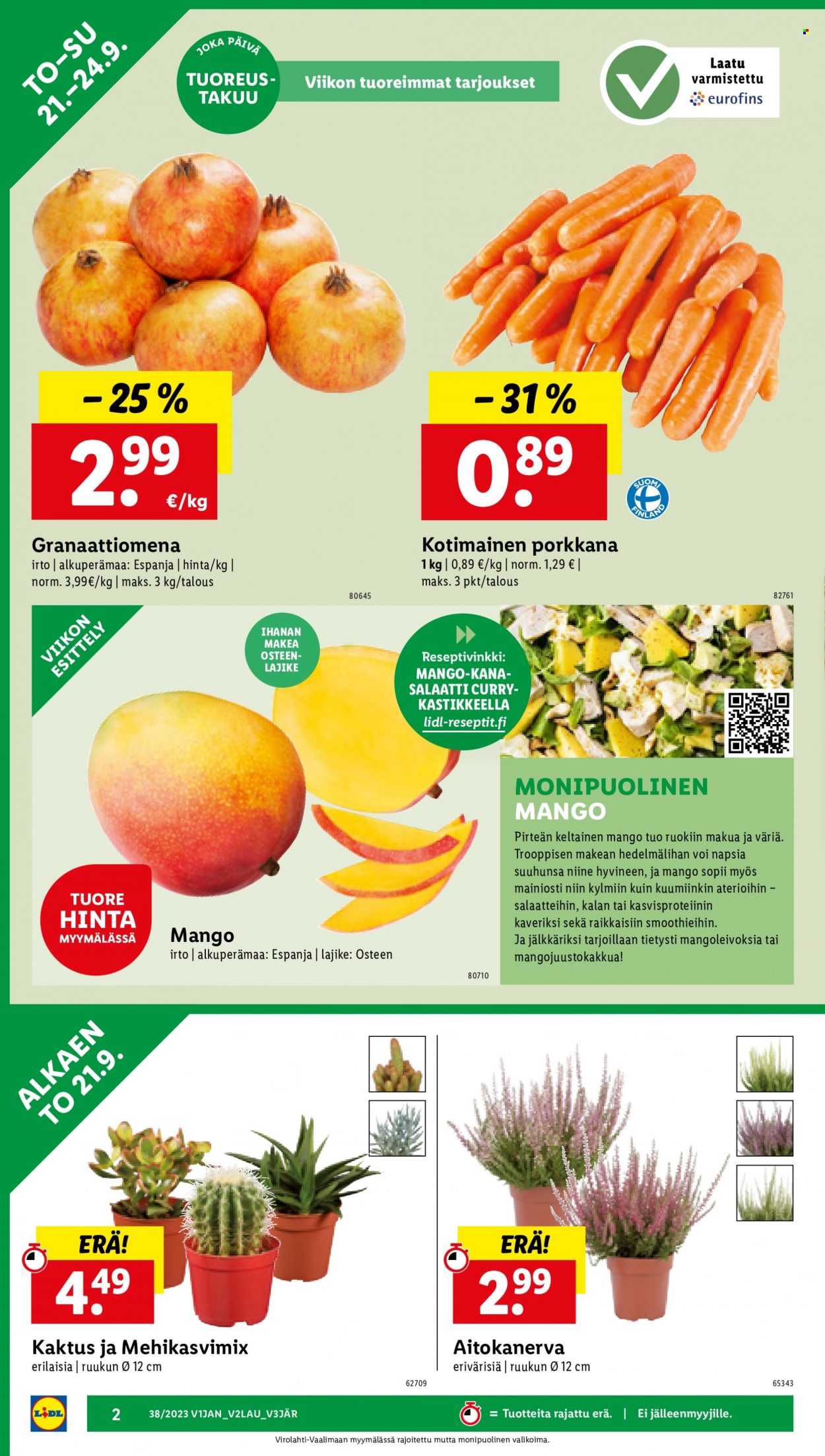 Lidl tarjoukset - 21.09.2023 - 27.09.2023. Sivu 4