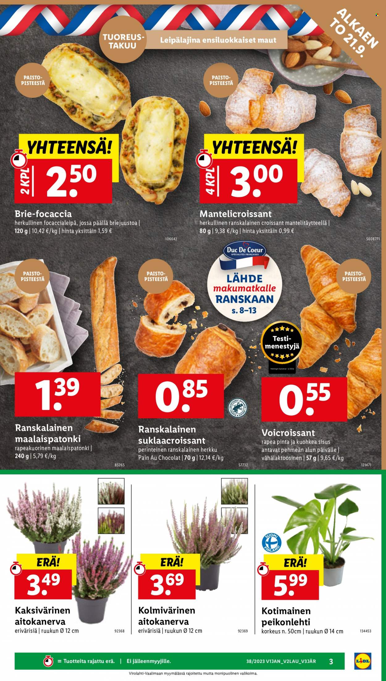Lidl tarjoukset - 21.09.2023 - 27.09.2023. Sivu 5