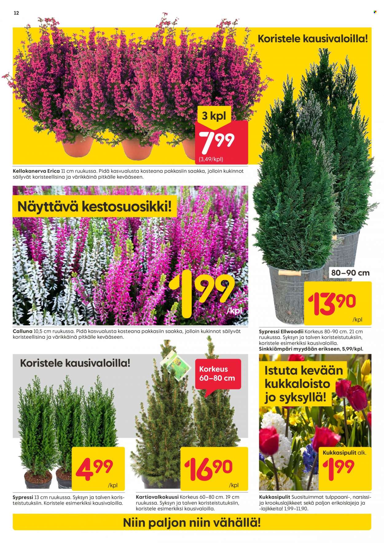 Rusta tarjoukset - 02.10.2023 - 08.10.2023. Sivu 12