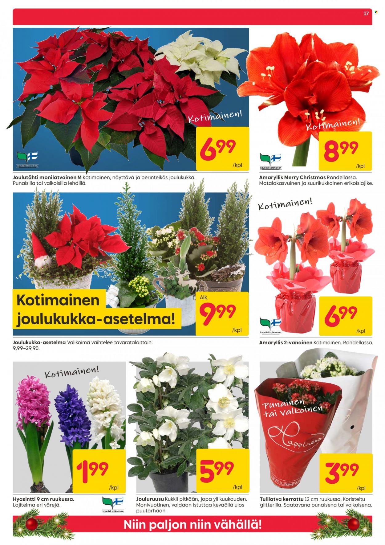 Rusta tarjoukset - 04.12.2023 - 10.12.2023. Sivu 17