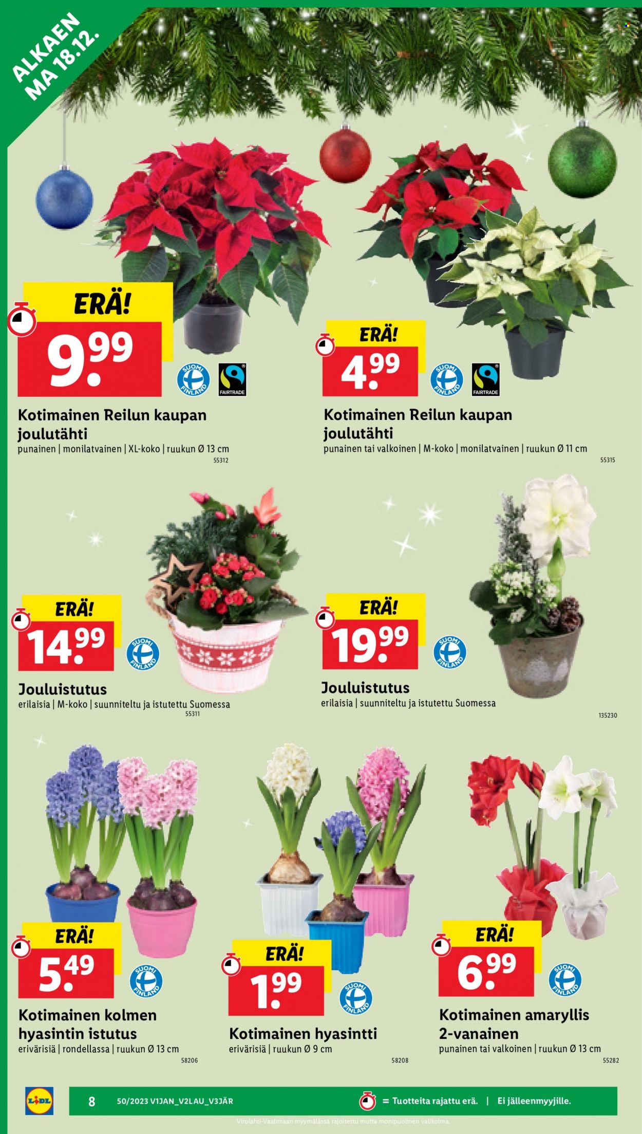 Lidl tarjoukset - 14.12.2023 - 20.12.2023. Sivu 12