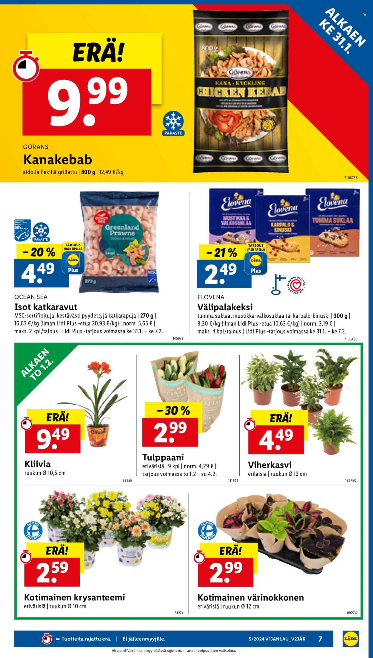 Lidl tarjoukset - 31.01.2024 - 07.02.2024. Sivu 9