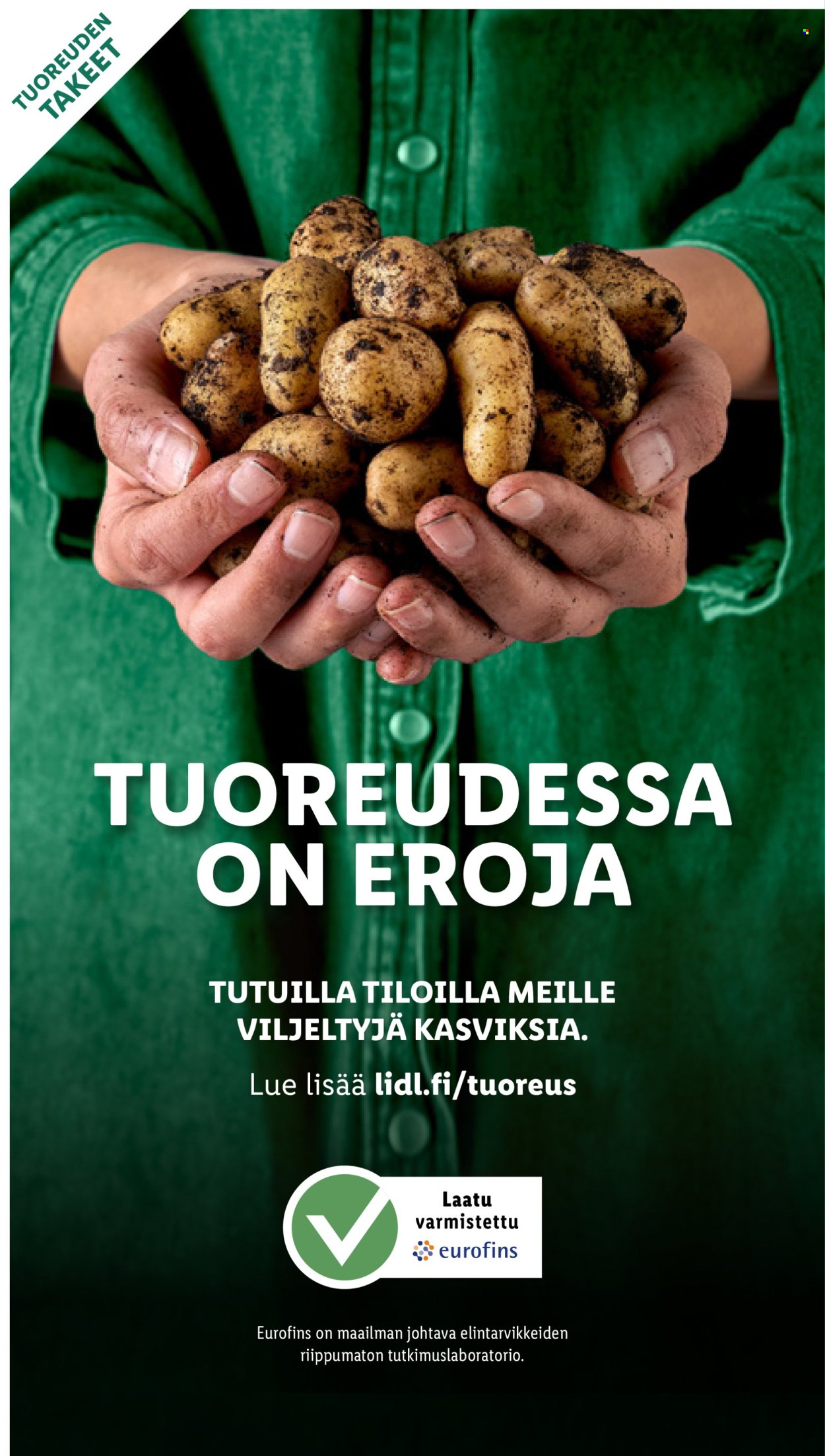 Lidl tarjoukset - 31.01.2024 - 07.02.2024. Sivu 22