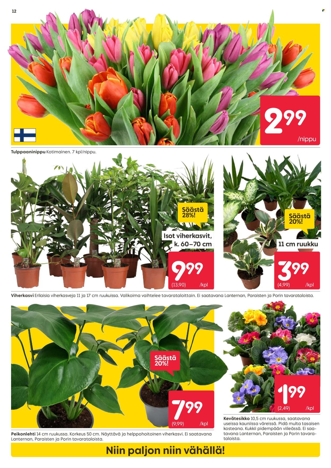 Rusta tarjoukset - 29.01.2024 - 04.02.2024. Sivu 12