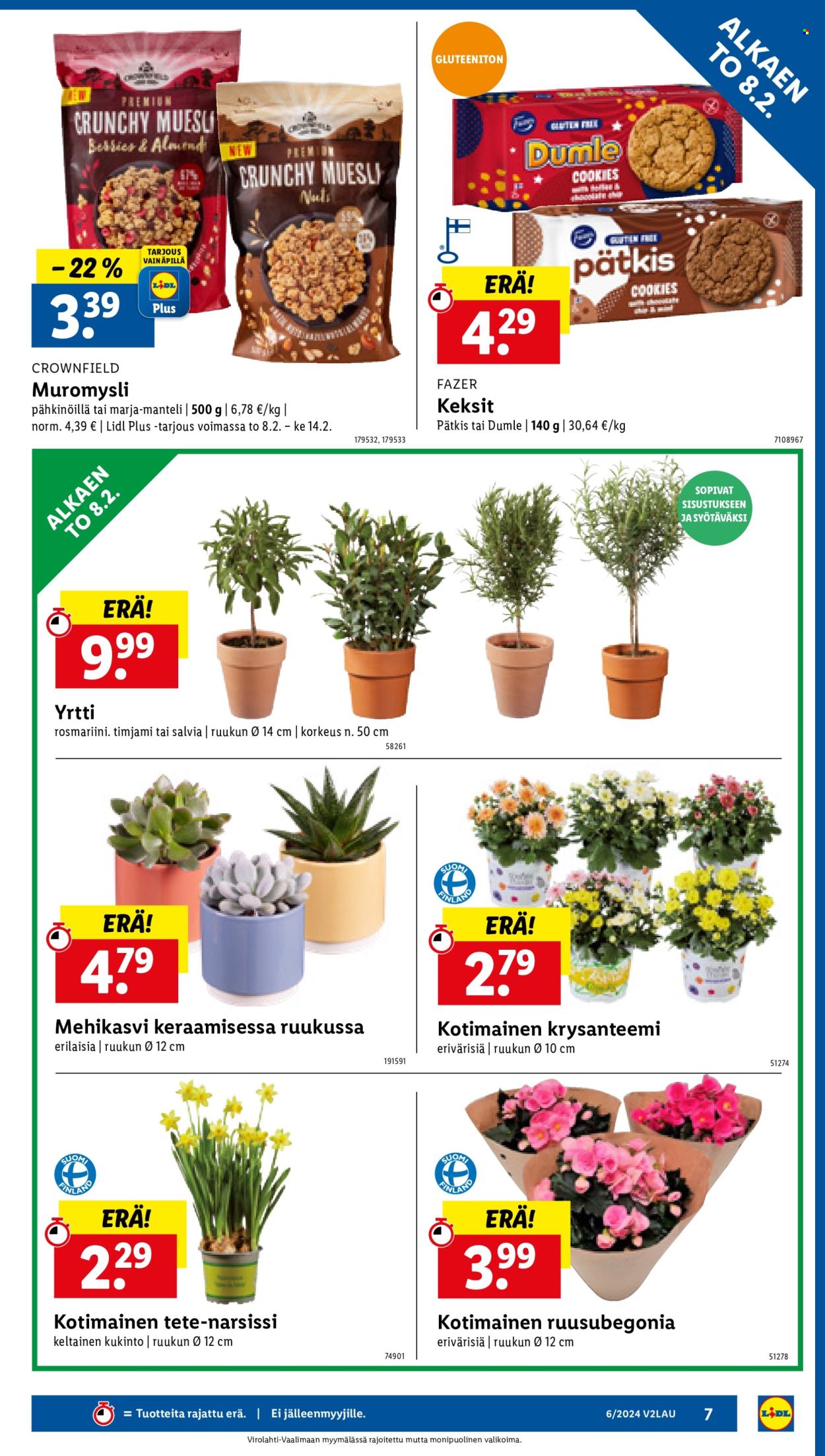 Lidl tarjoukset - 08.02.2024 - 14.02.2024. Sivu 9
