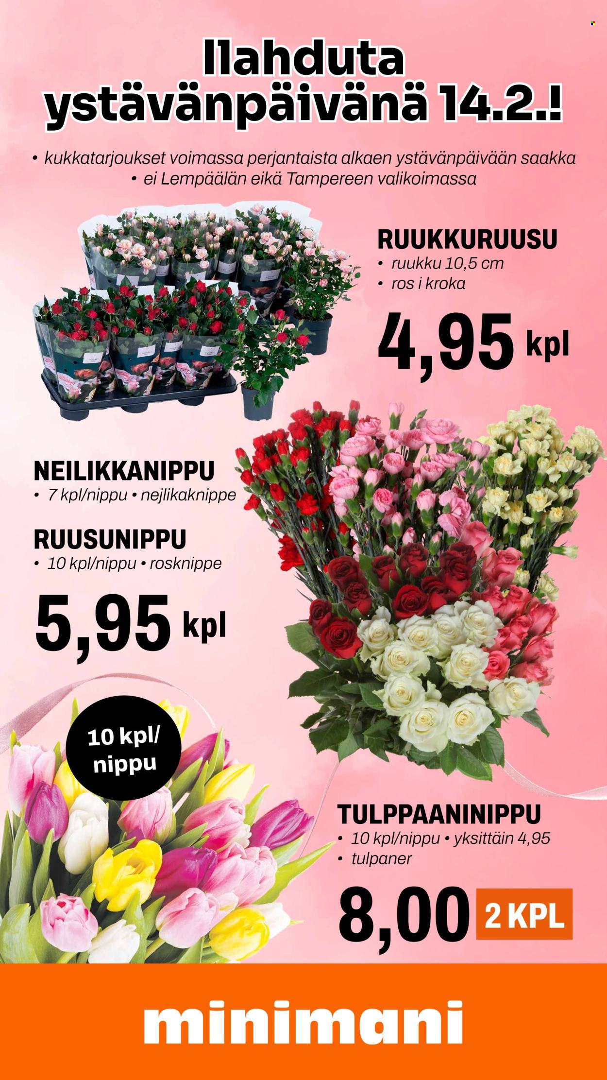 Minimani tarjoukset - 07.02.2024 - 11.02.2024. Sivu 12