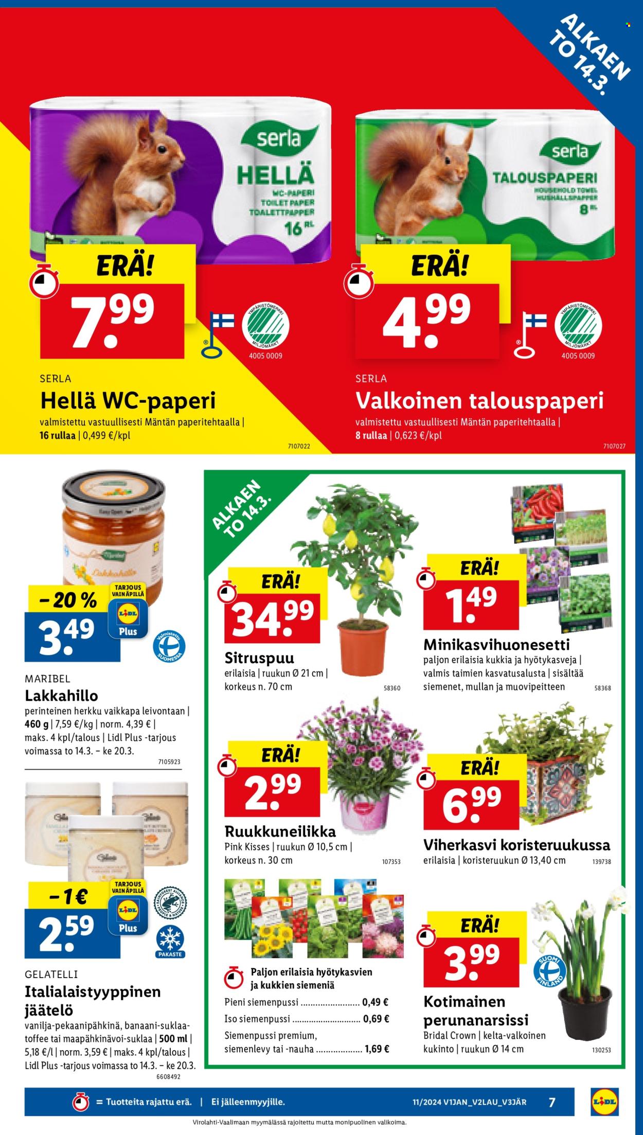 Lidl tarjoukset - 14.03.2024 - 20.03.2024. Sivu 9