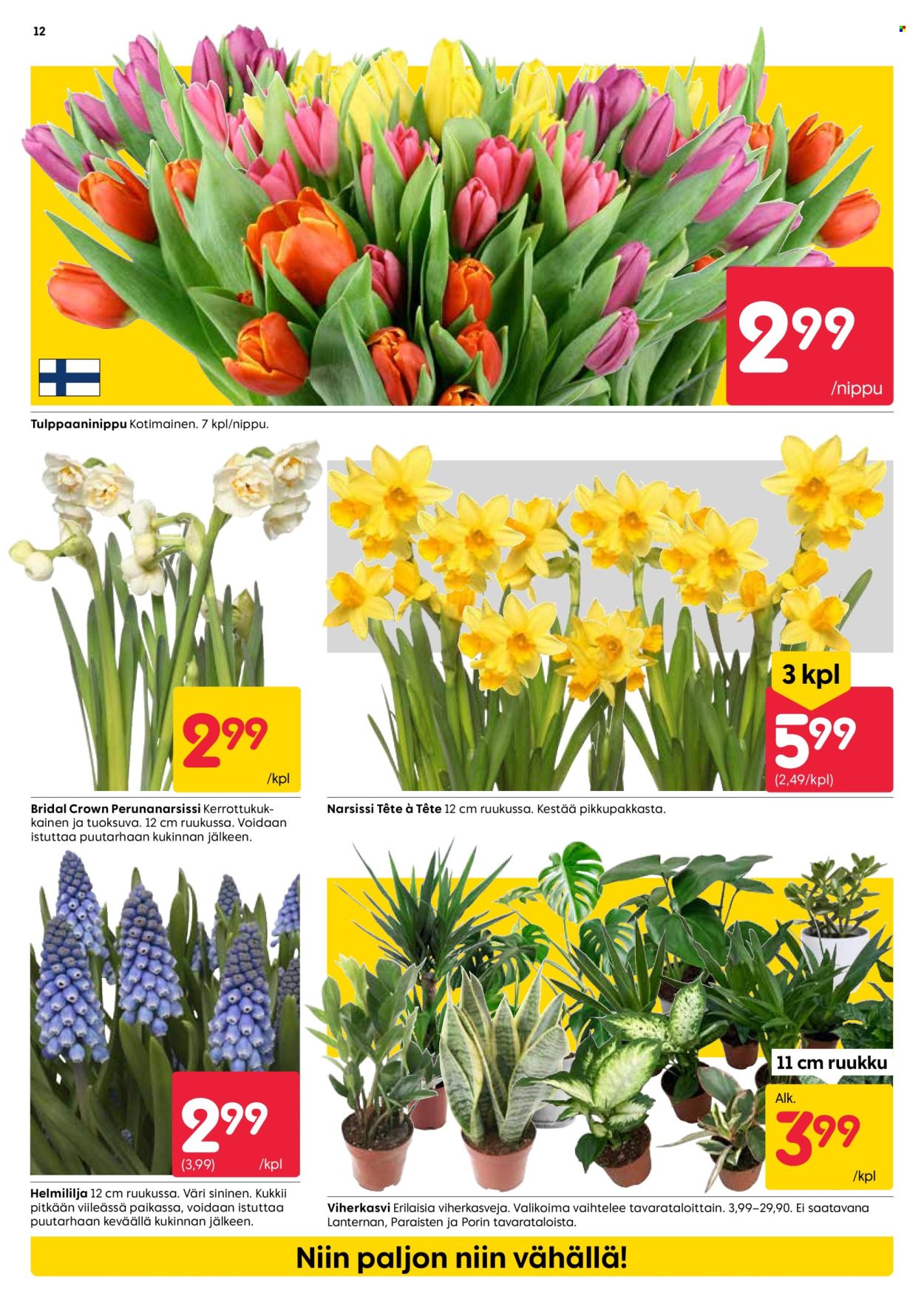 Rusta tarjoukset - 11.03.2024 - 17.03.2024. Sivu 12