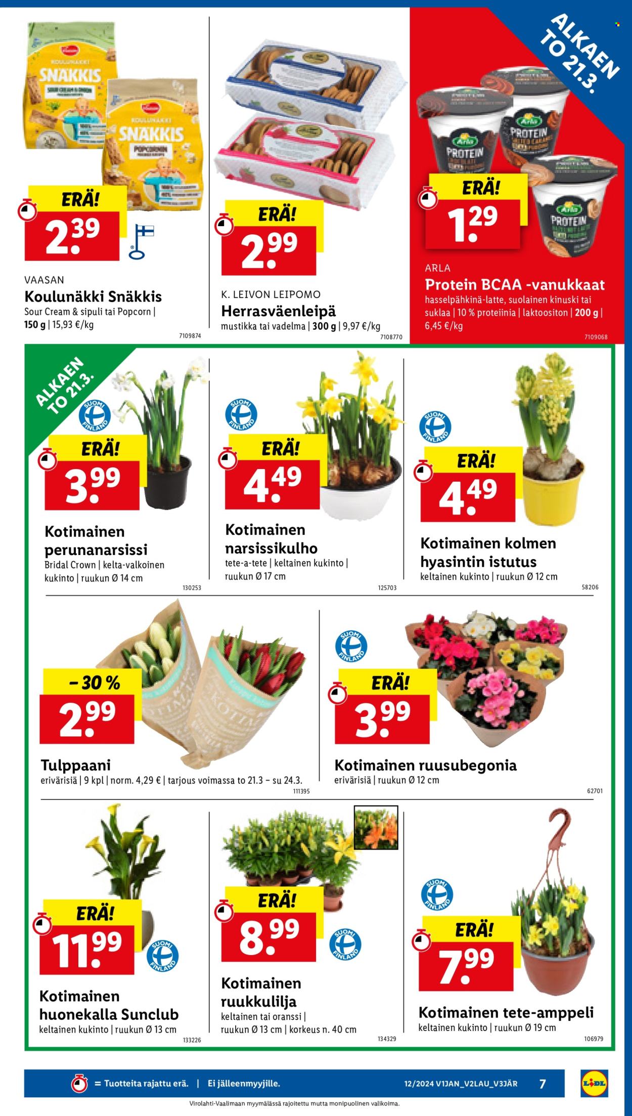 Lidl tarjoukset - 21.03.2024 - 27.03.2024. Sivu 9