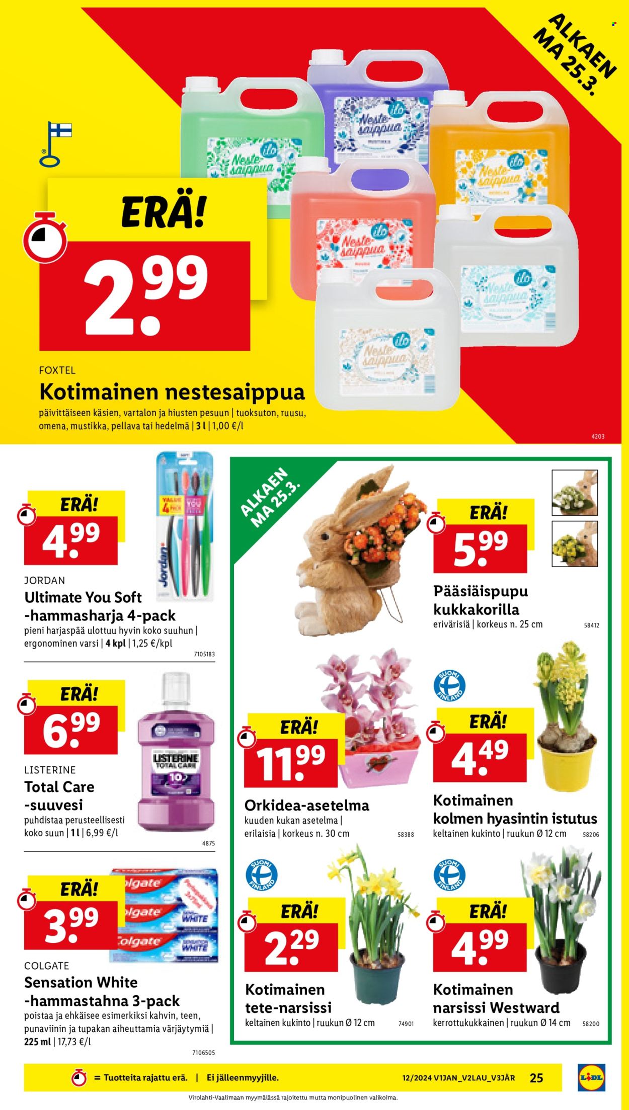 Lidl tarjoukset - 21.03.2024 - 27.03.2024. Sivu 29
