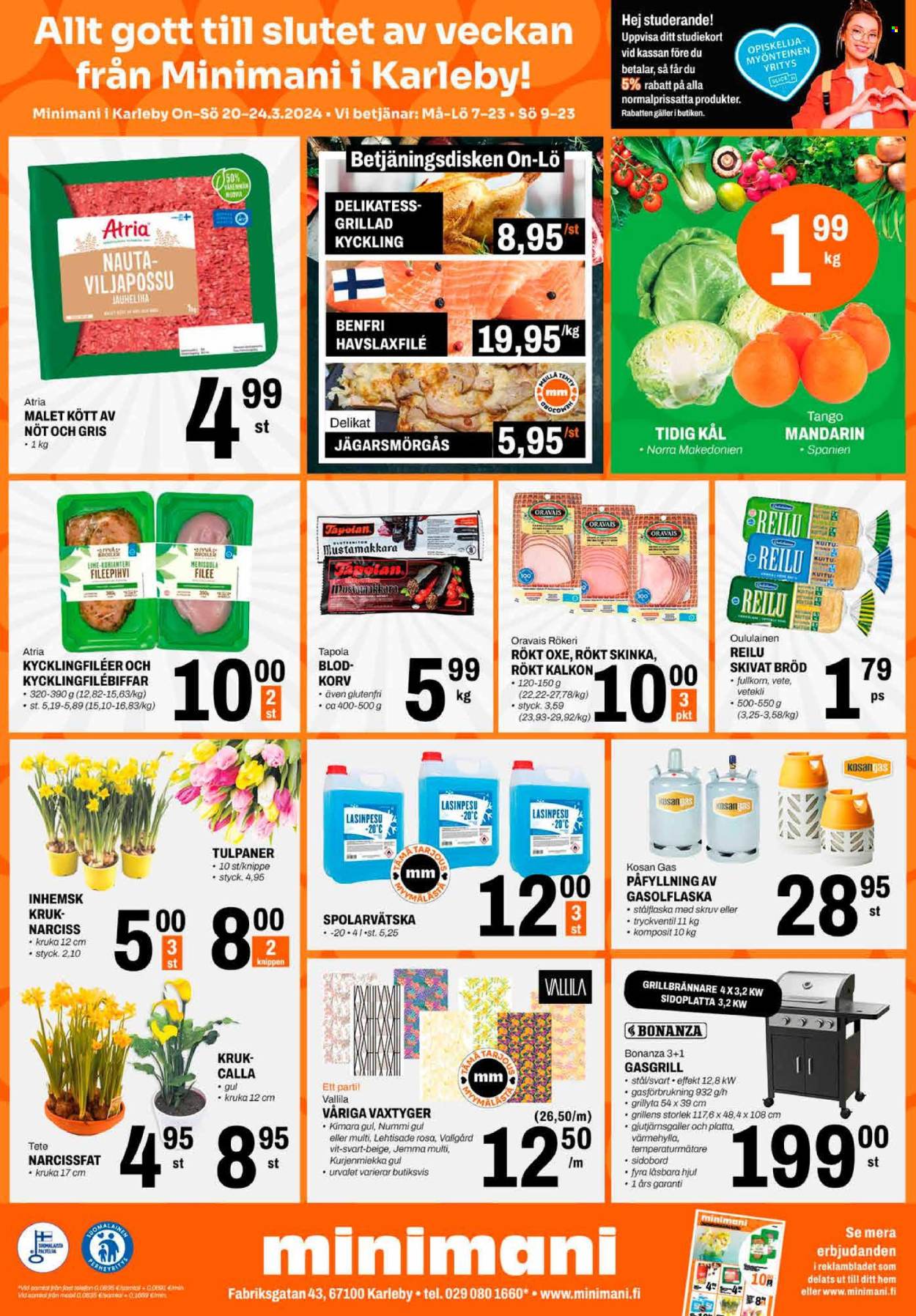 Minimani tarjoukset - 20.03.2024 - 24.03.2024. Sivu 2